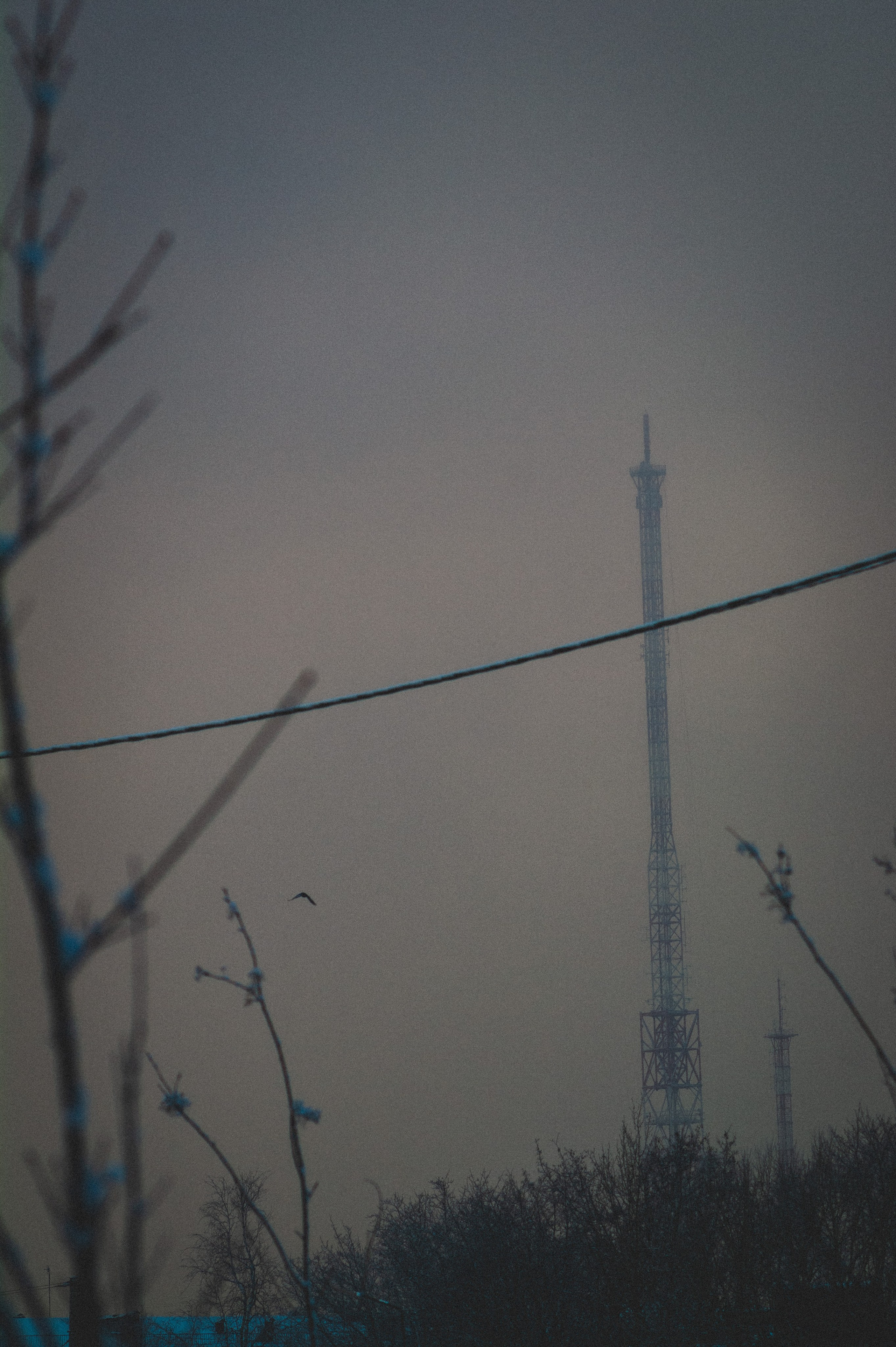 Еще один сет. Den Mirov — Фотограф, Музыкант