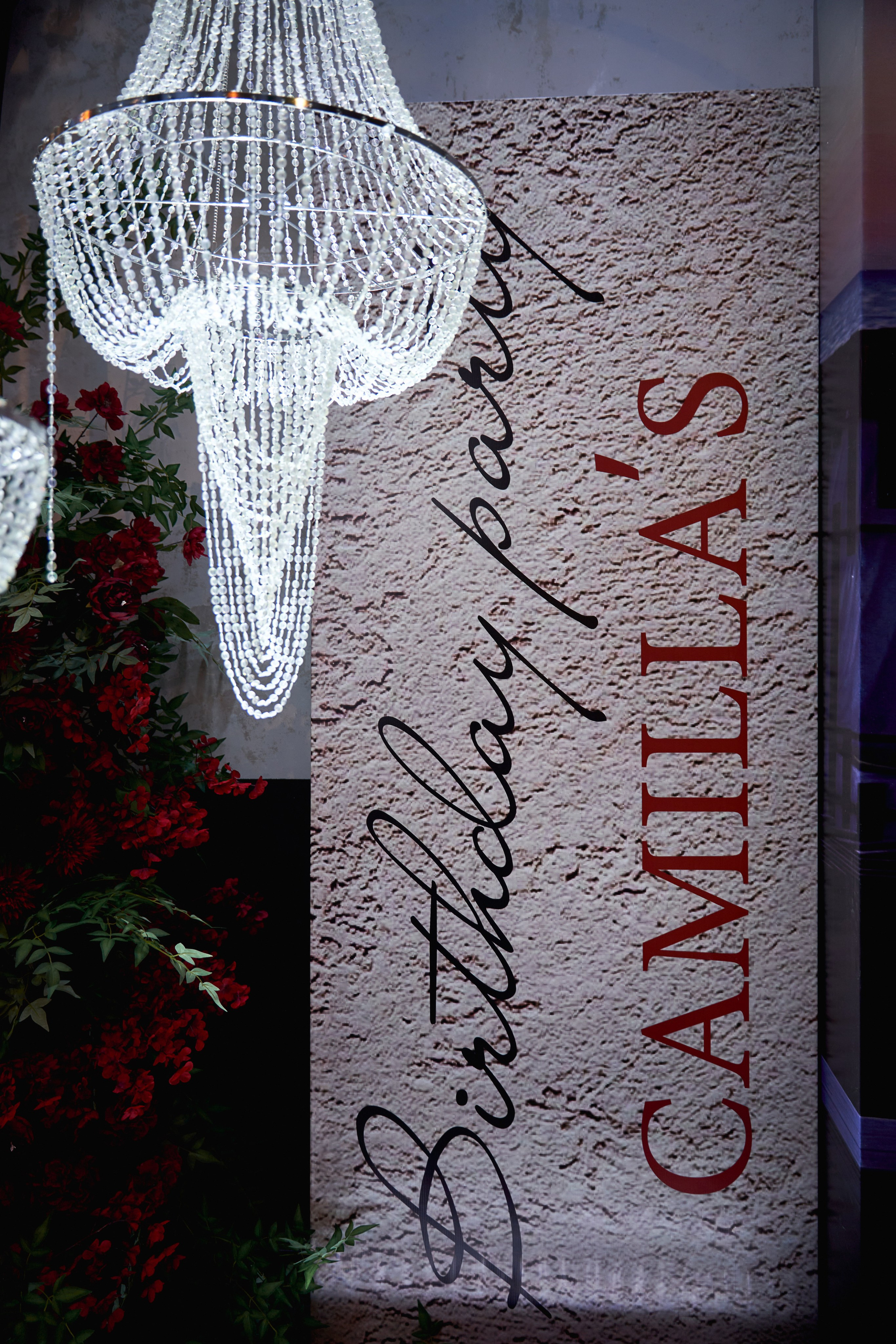 Светская съемка дня рождения 18 лет Камилле от ТВИНС СТУДИО. ТВИНС СТУДИО — лучшие свадебные фотографы и видеографы в Краснодаре