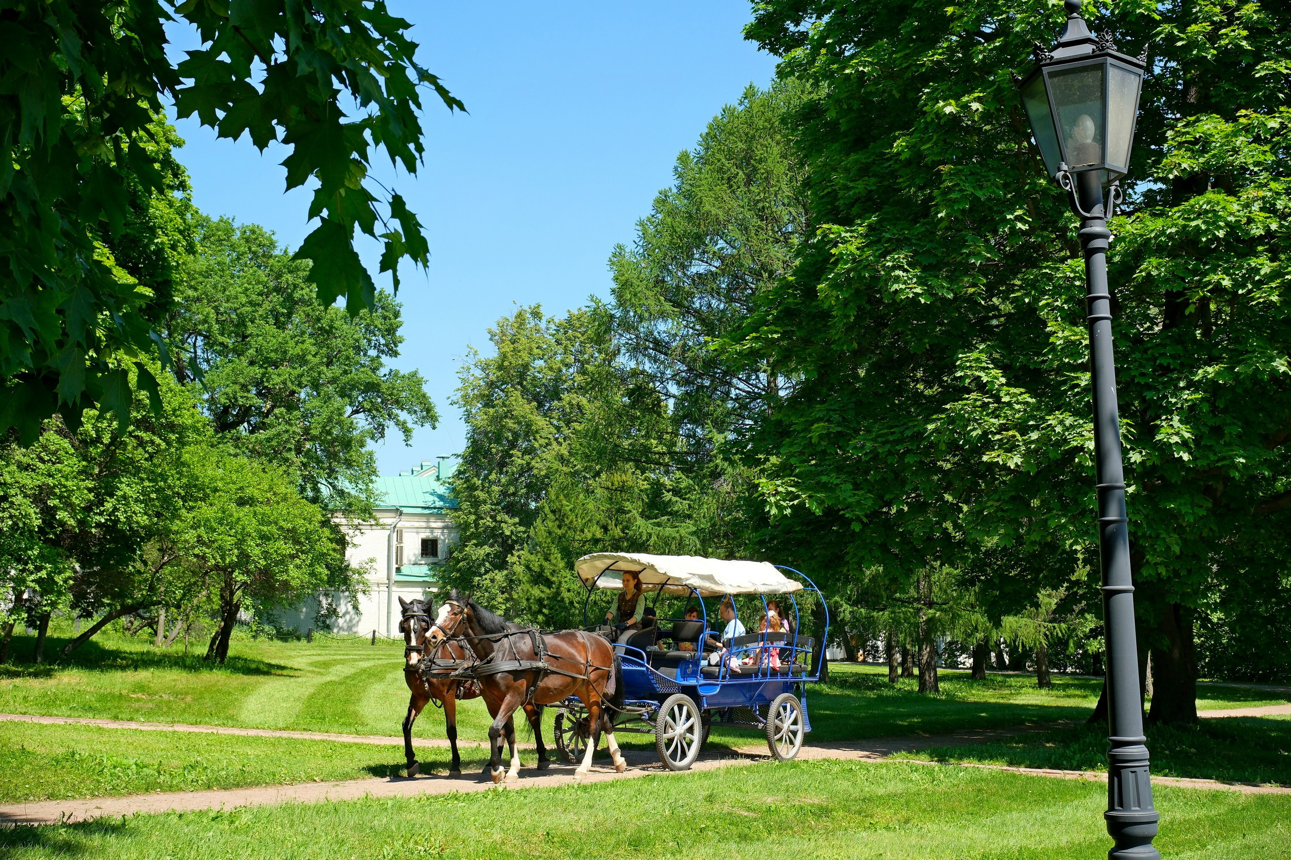 Коломенское 2024. Улица, люди, жизнь…