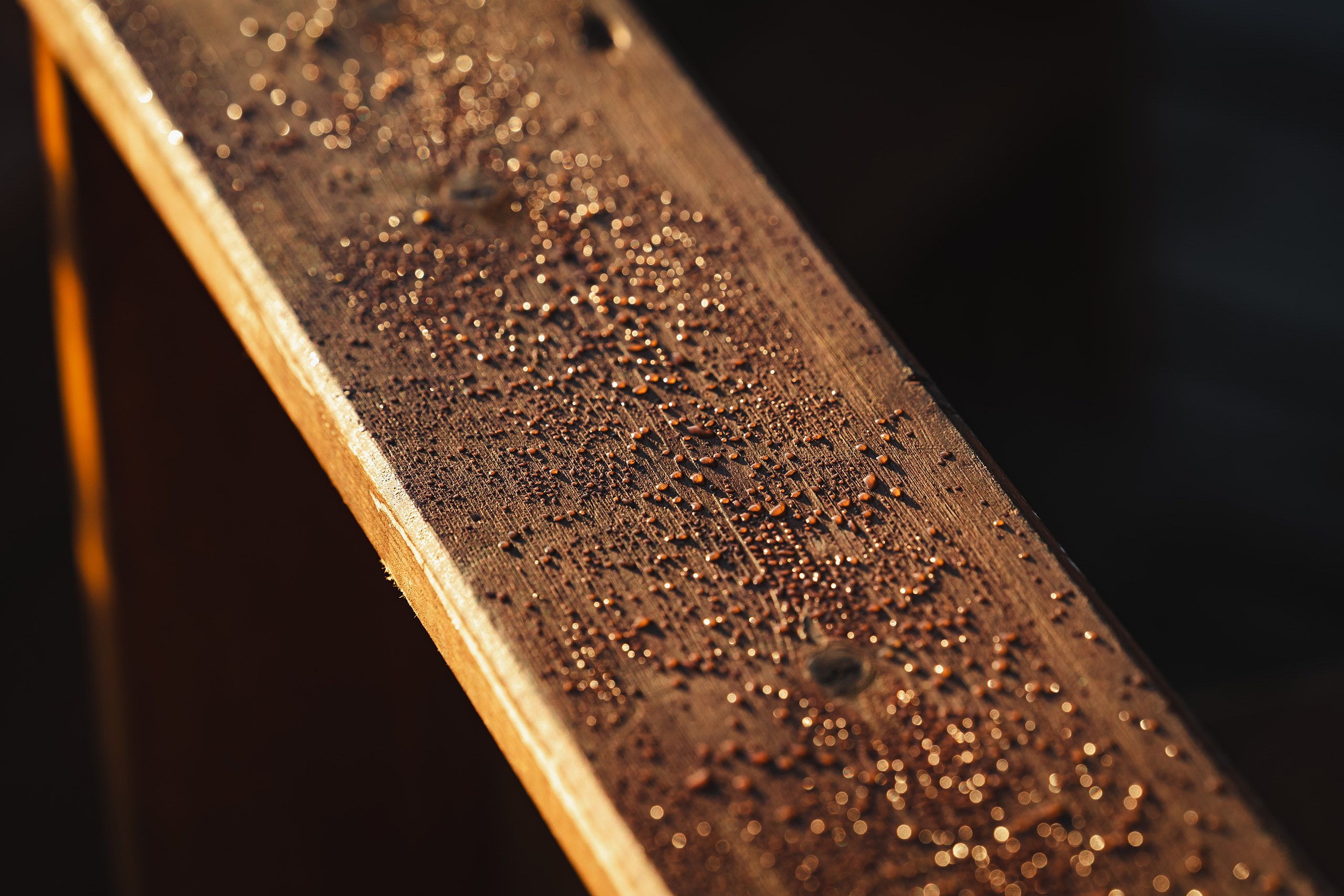 Проект сёрф лагерь Swell. Иван Зайцев (IZIART) — визуальные истории для брендов, людей и мест