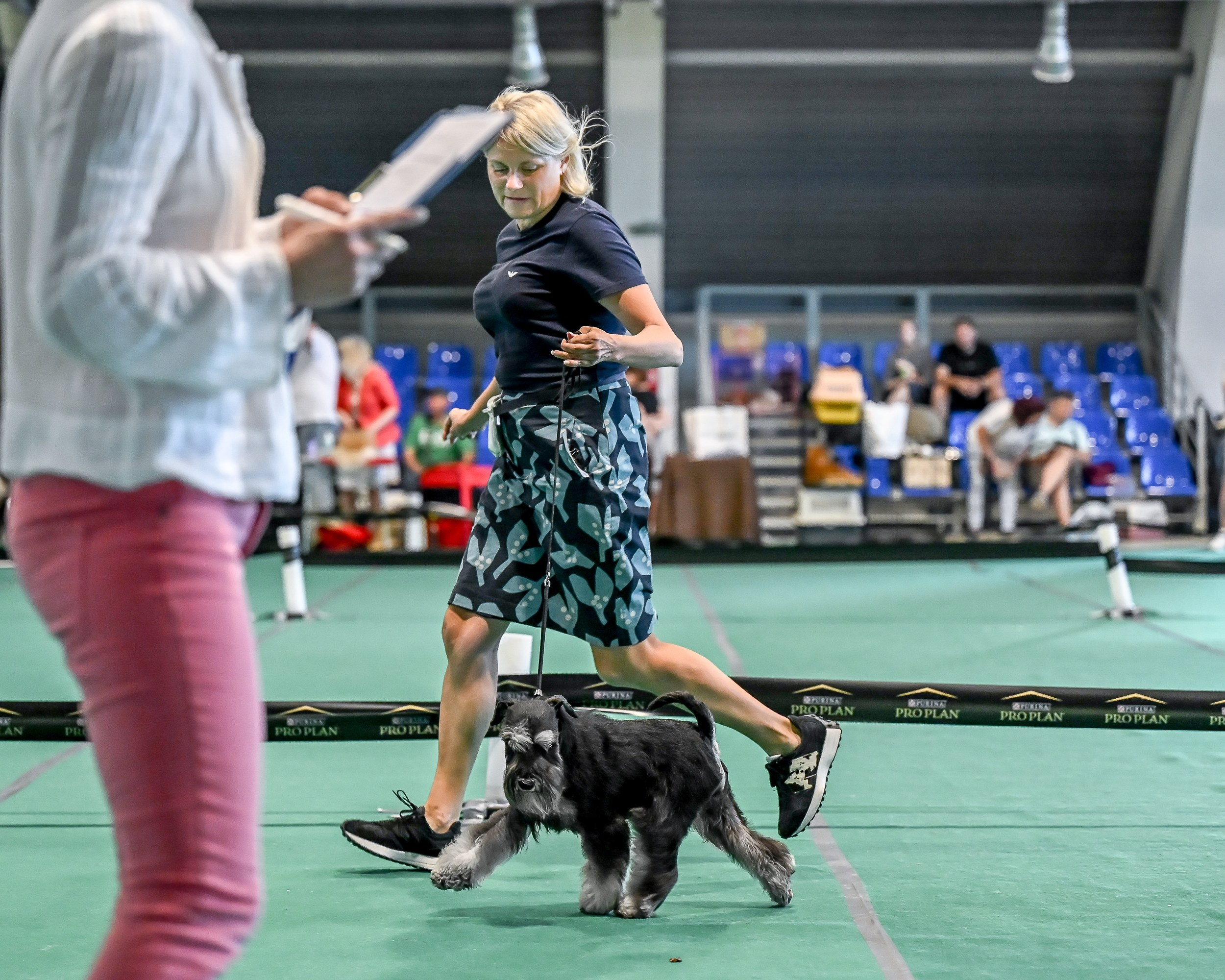 Цафир⚡️DELINSO BALANCE СZAFIR LUMIER