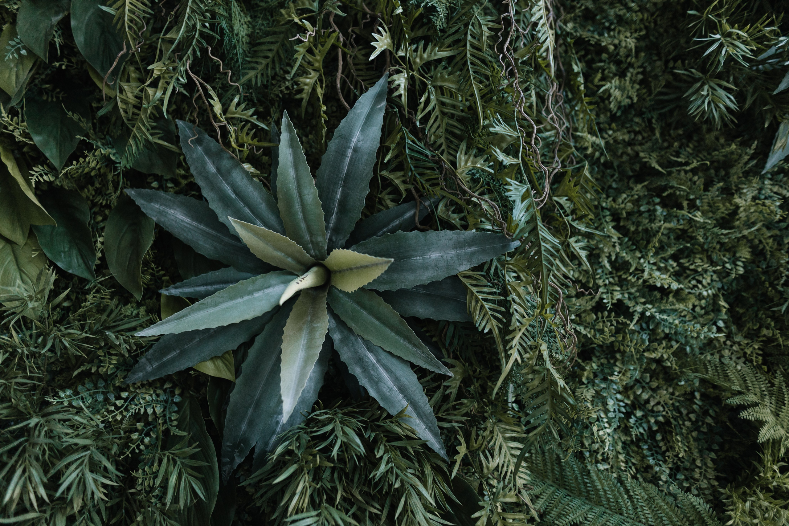 Мои проекты. Кристина Киссер |Фотограф | сняла ⩾ 2000 съёмок | главная по атмосфере