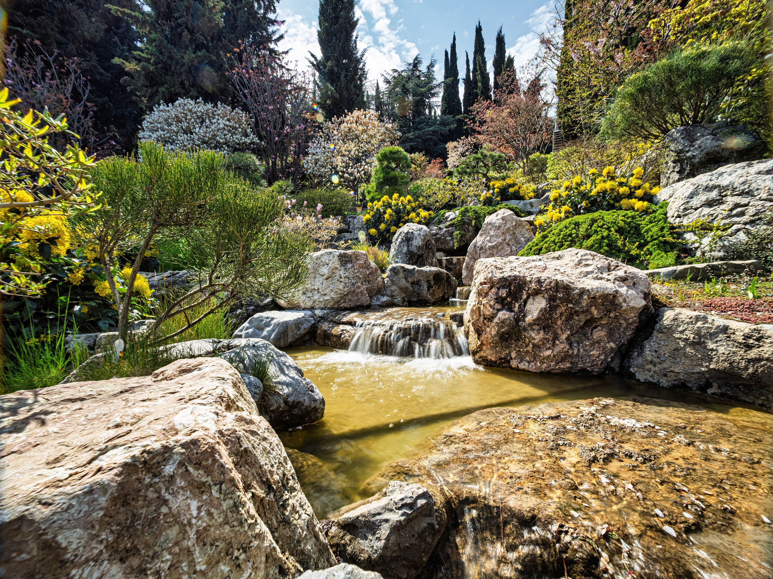 Крым, Утес, 2021 год. Фотограф Никифоров-Гордеев Сергей. Москва и МО