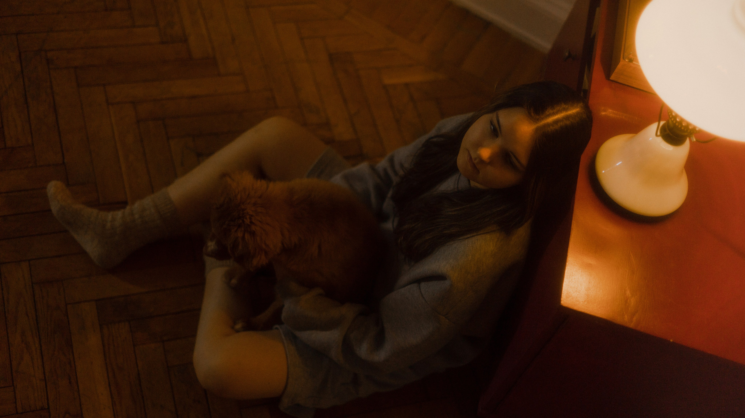 Маша, Одди и Нэвил. Фотограф-анималист Богданова Полина