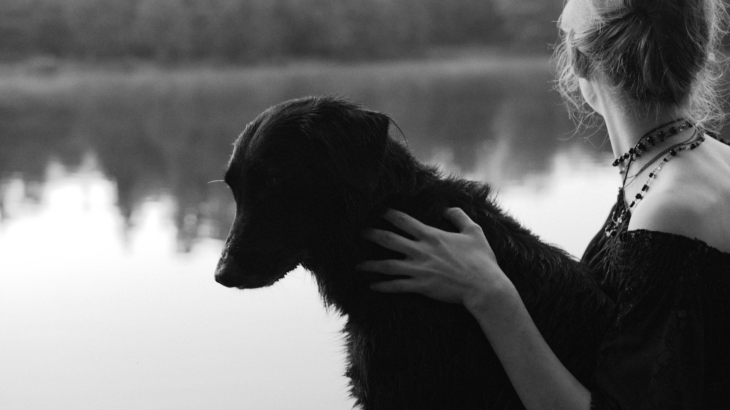 Лиза и Коди. Фотограф-анималист Богданова Полина