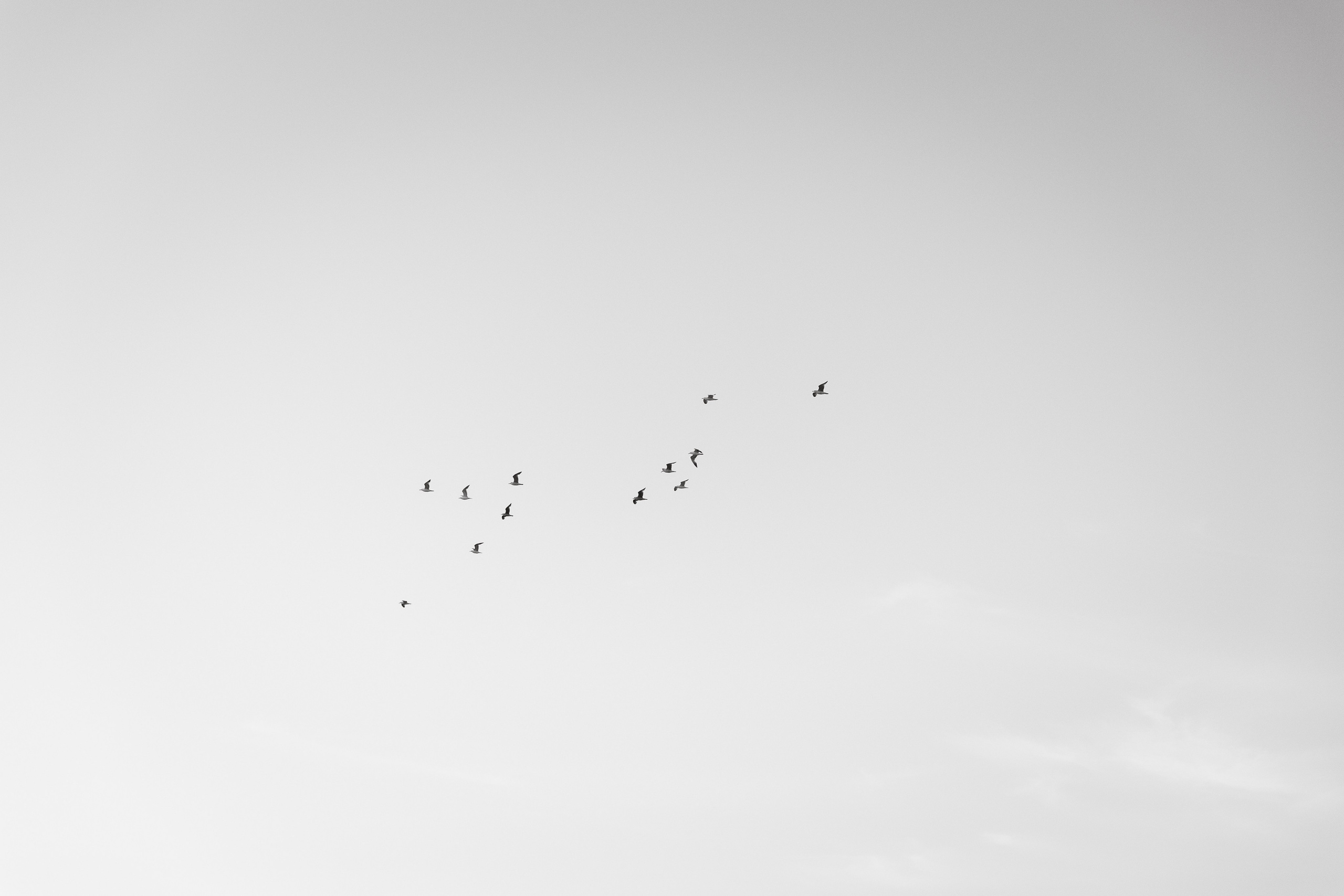 Фотограф Калининград Илья Миллер