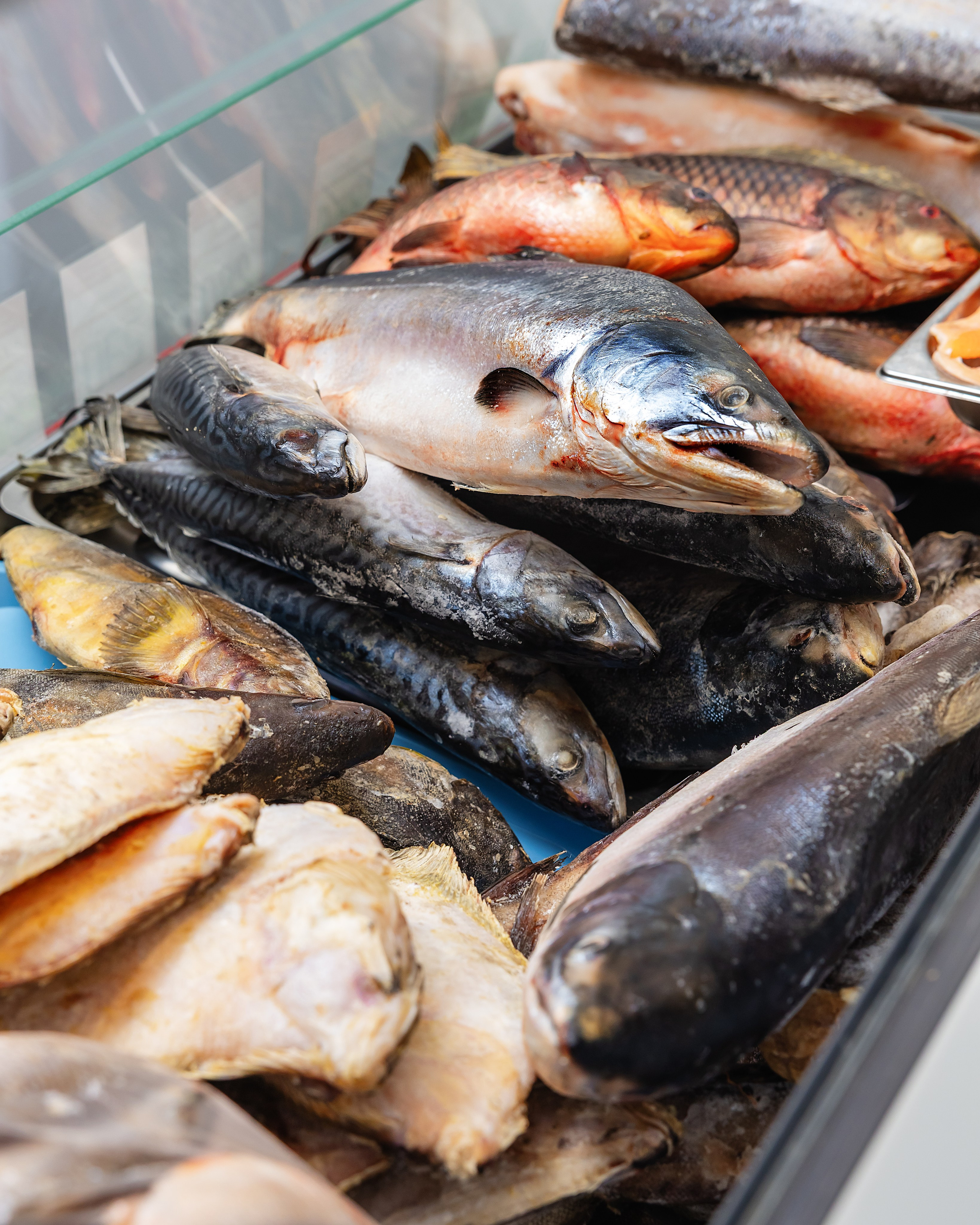 Рынок «Каскад». Фотограф и видеограф в Улан-Удэ: Аюна Габагуева и Артём Шаханов