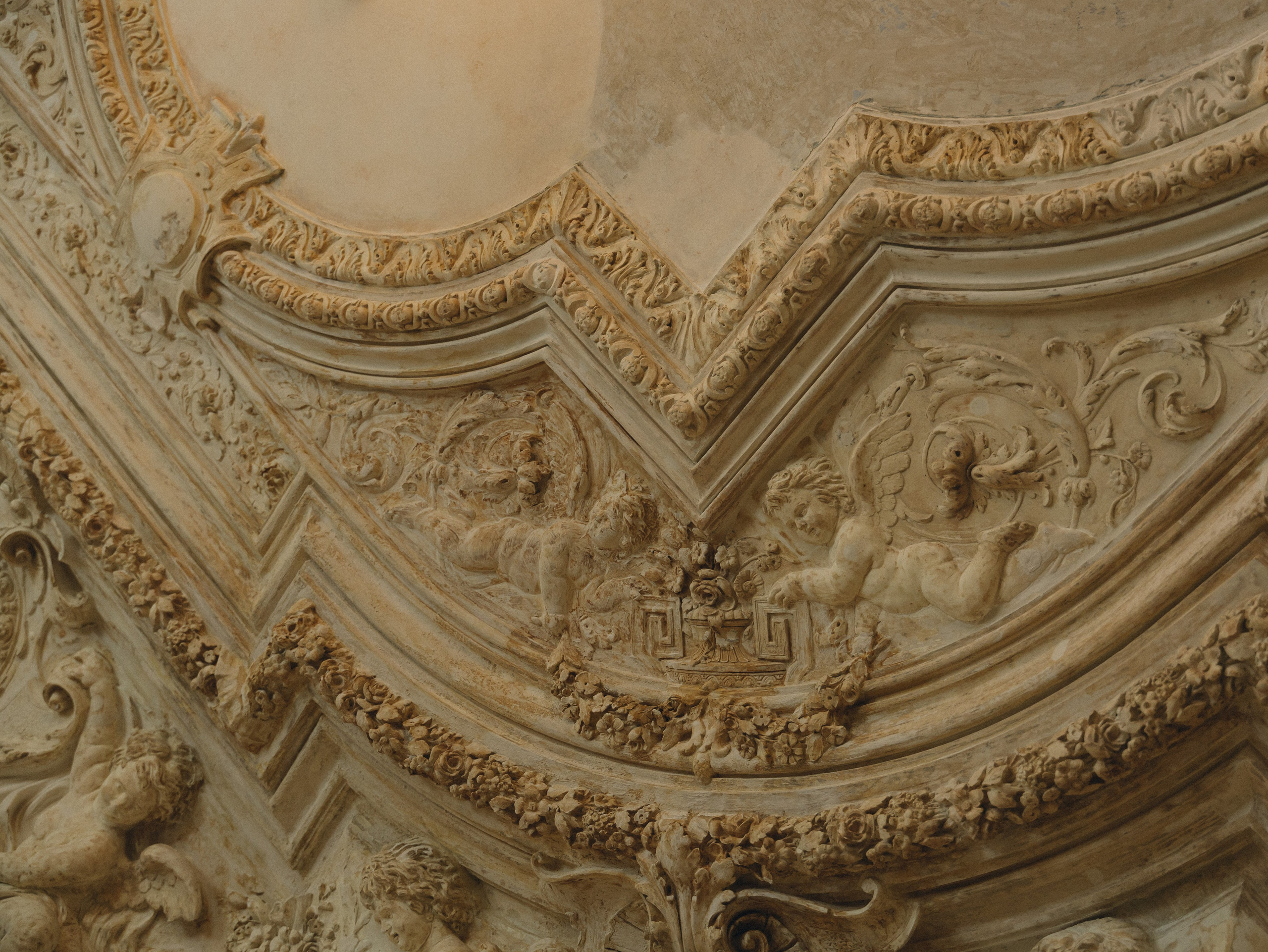 У НАС ЕСТЬ ПИТОМЦЫ :). Свадебный фотограф Москва Ирина Писарева