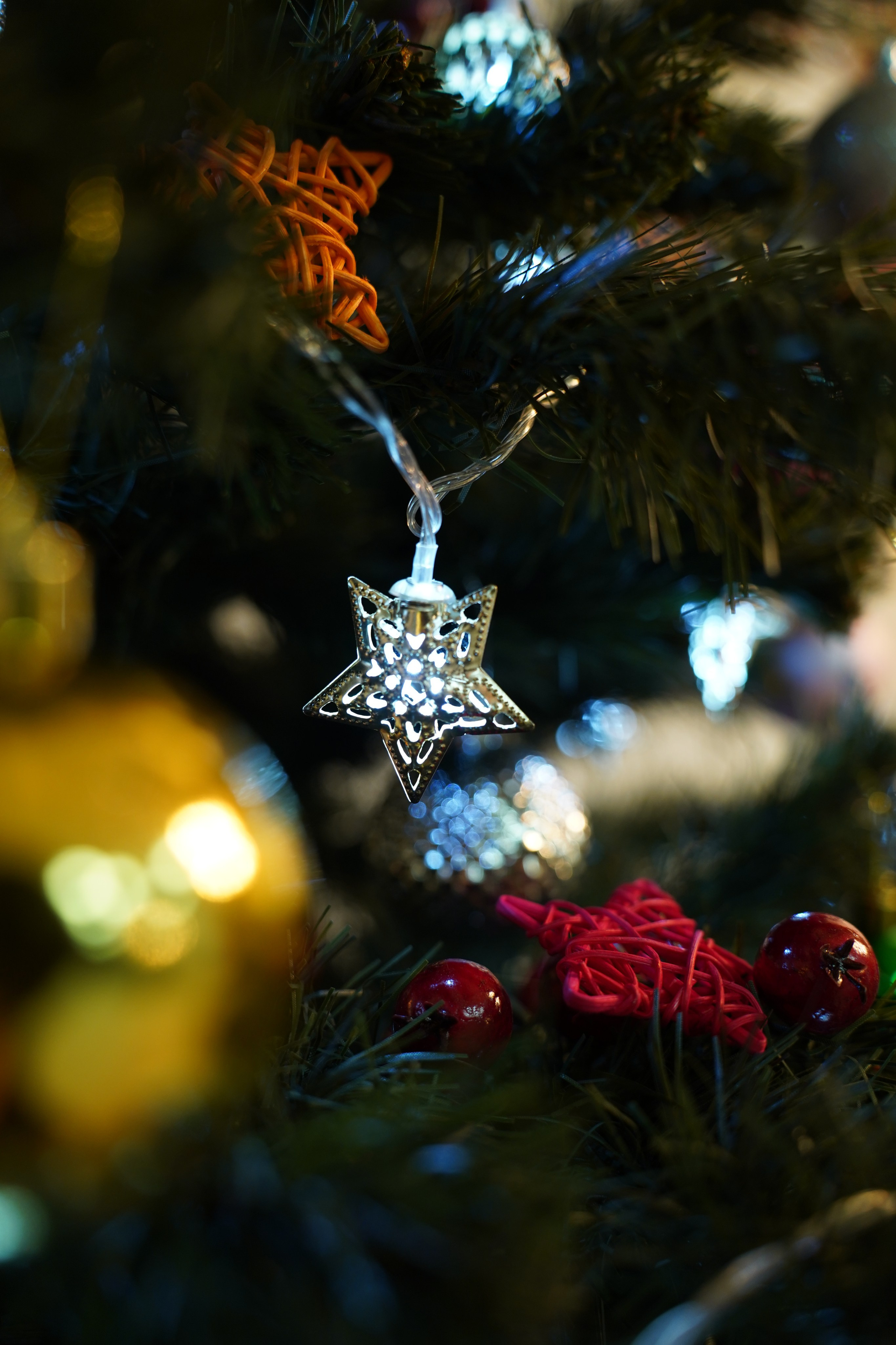 Студия 100 квадратов. Фотограф г. Хабаровск. Семейные и индивидуальные съёмки