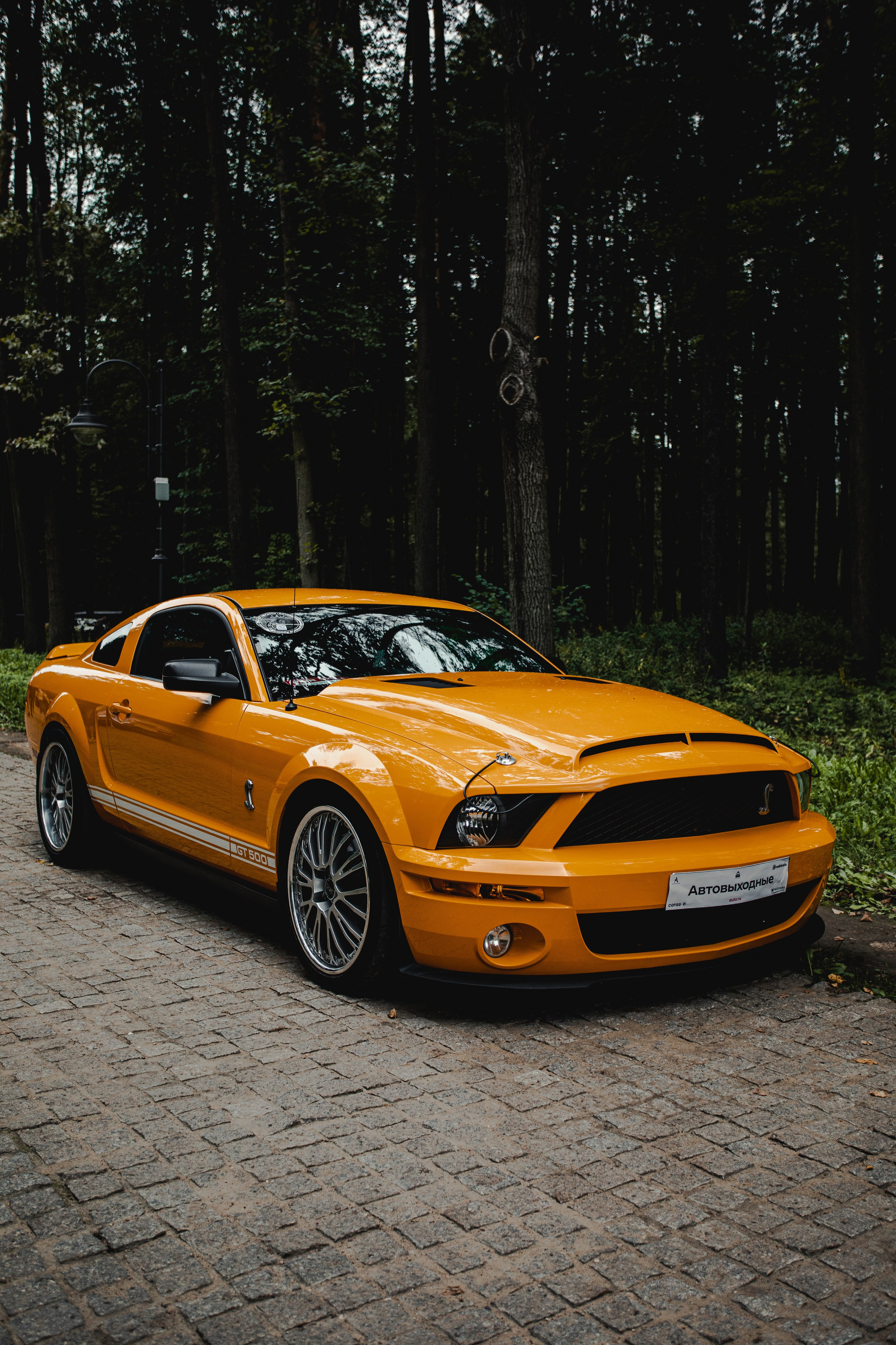 Автовыходные в Архангельской усадьбе. Спортивный фотограф — Никита