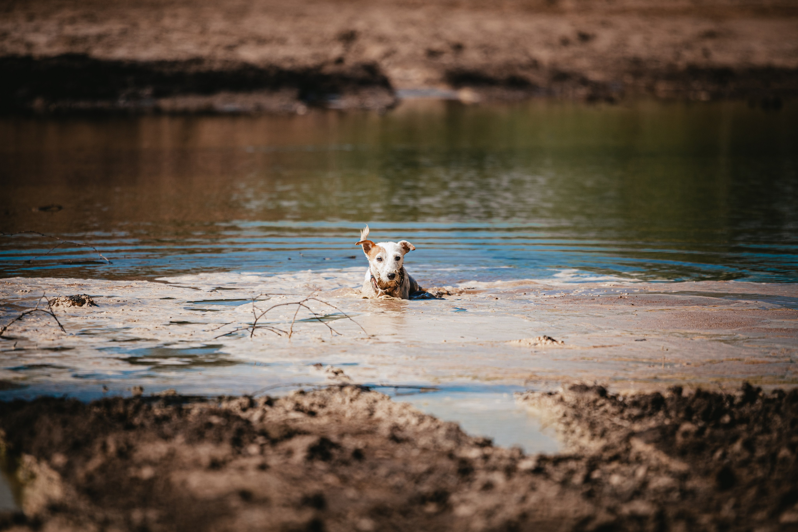 Кондуки. Фотограф-анималист Татьяна Степанова