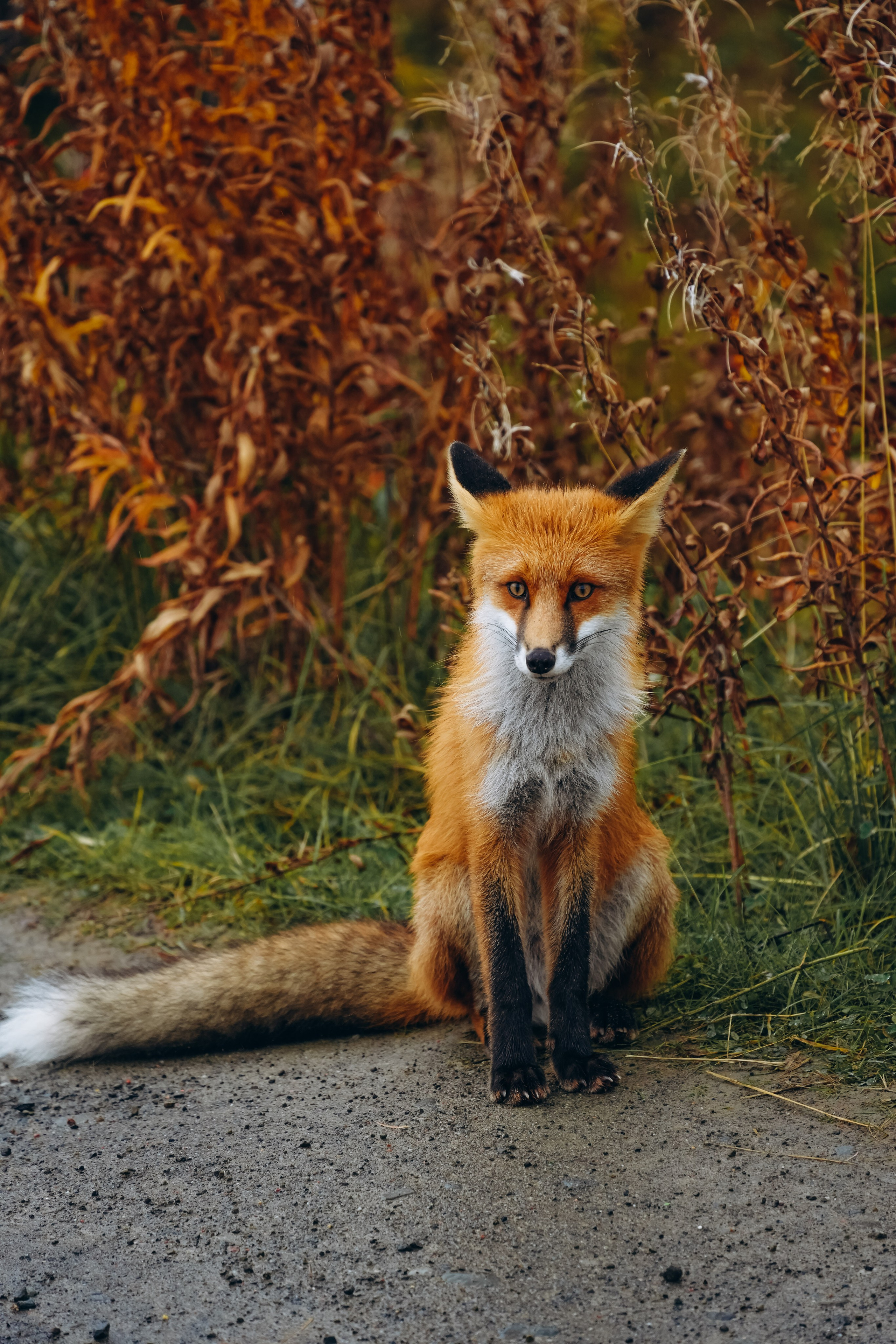 СЕВЕР. Event фотограф Степанова Александра