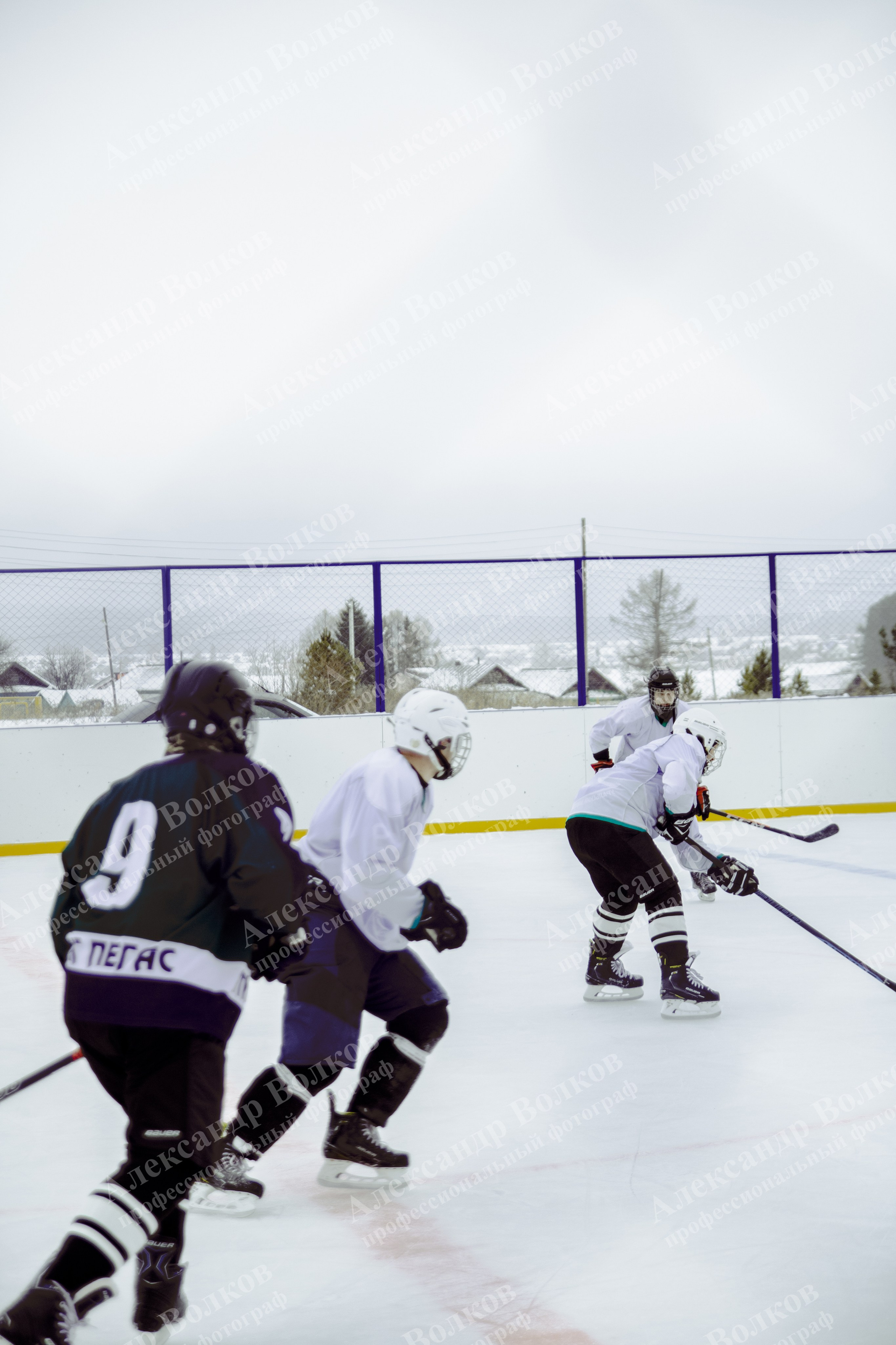 Хоккей 29.12.2024