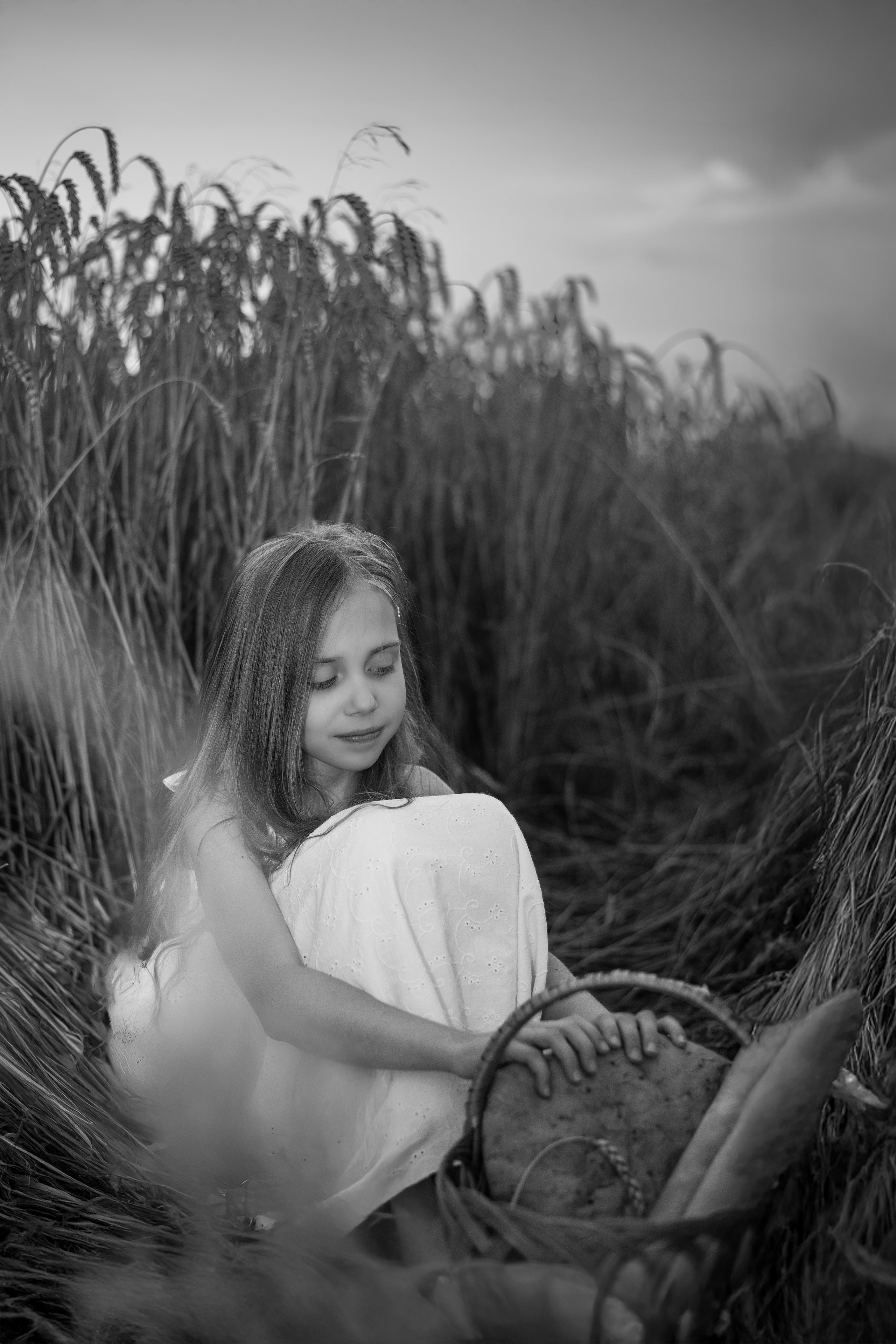 Пшеница. Главная