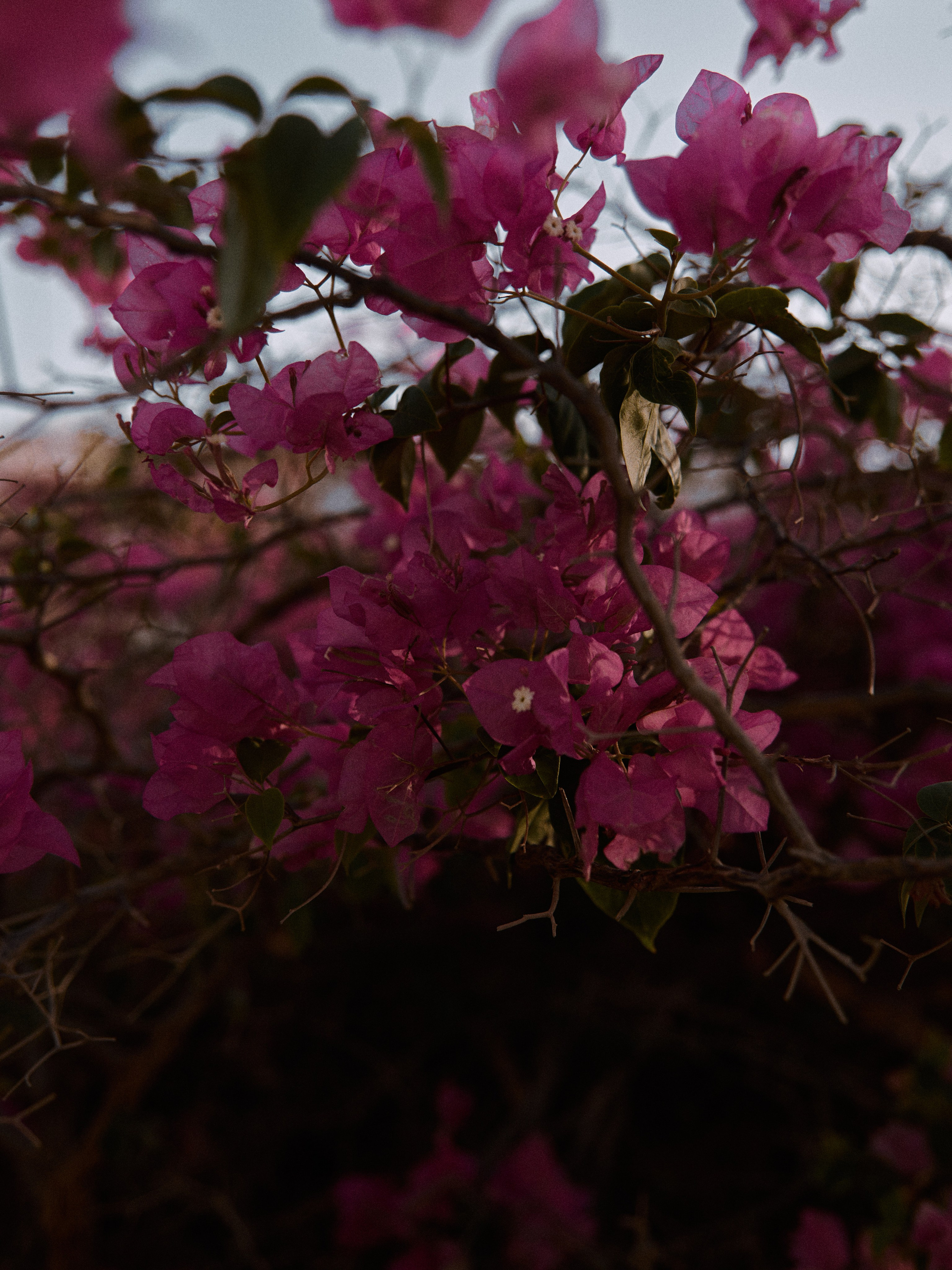 Природа. Jorgis Talè — photographer, kind person, teacher of arts and other mag