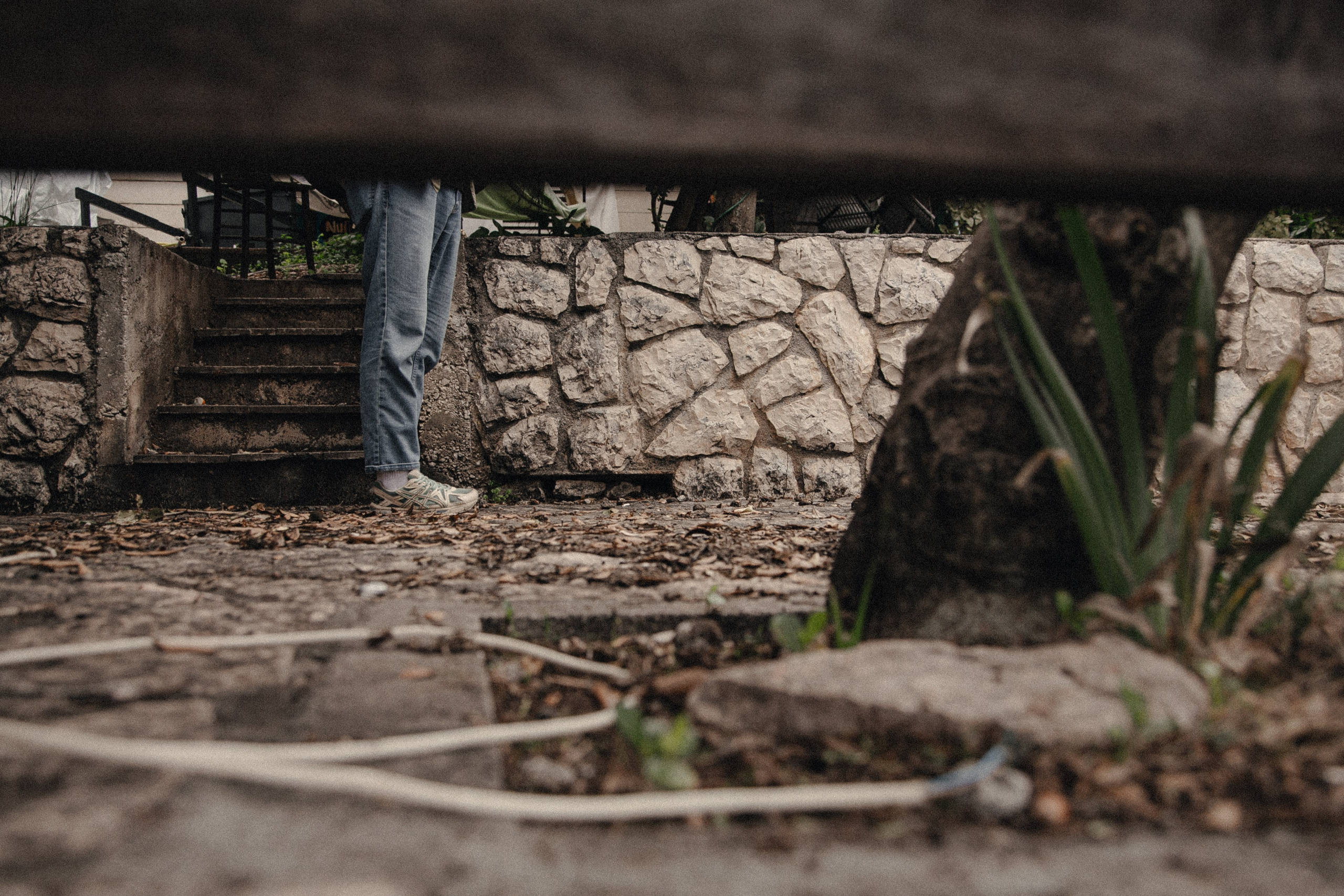 Мужская фотосессия. Семейный и свадебный фотограф в Черногории Татьяна Белякова