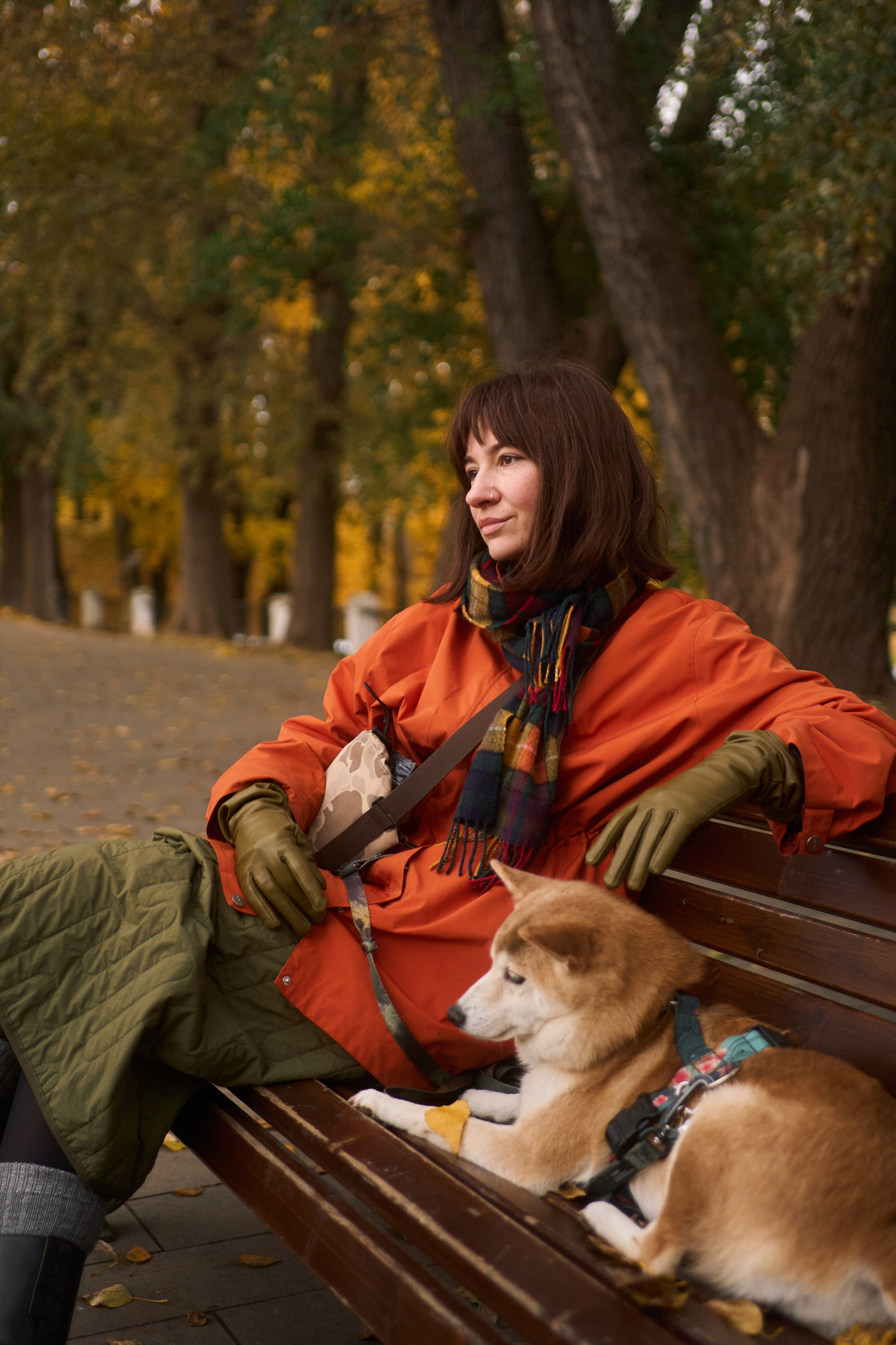 Осенние Уши. Фотограф анималист Москва Дарья