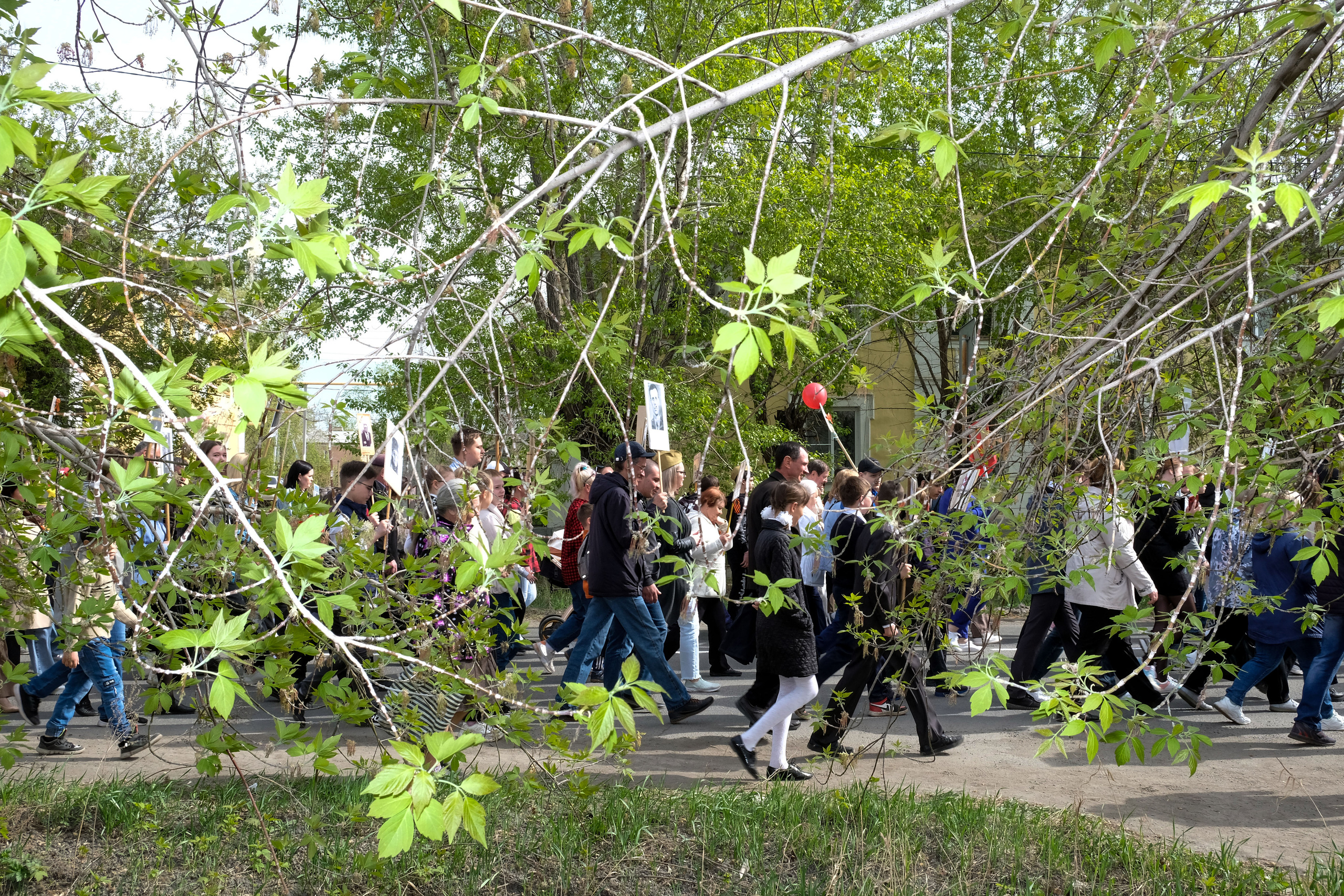 Два ноль два два. Alexey syrov / Visual artist