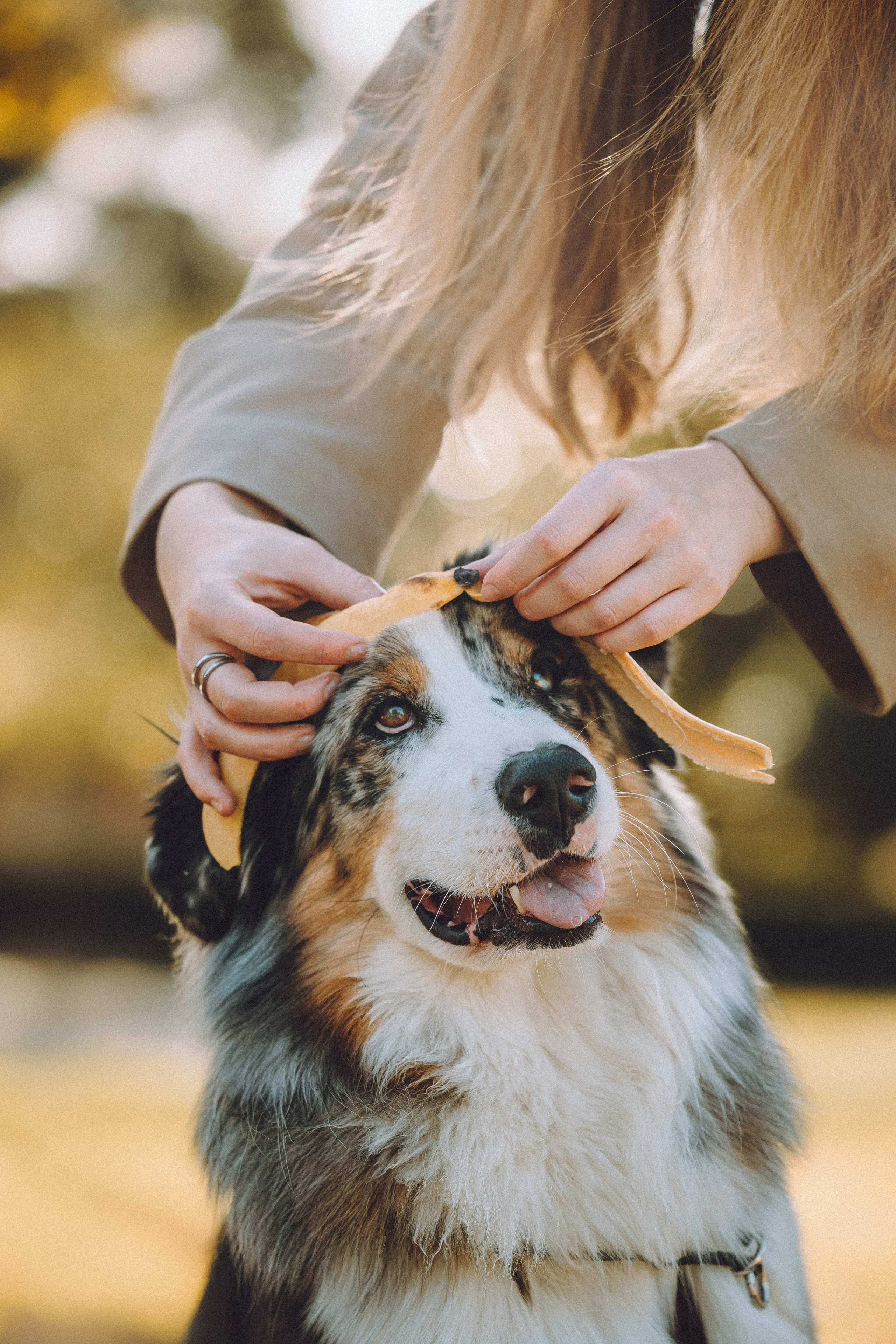 Саша, Рома и Один