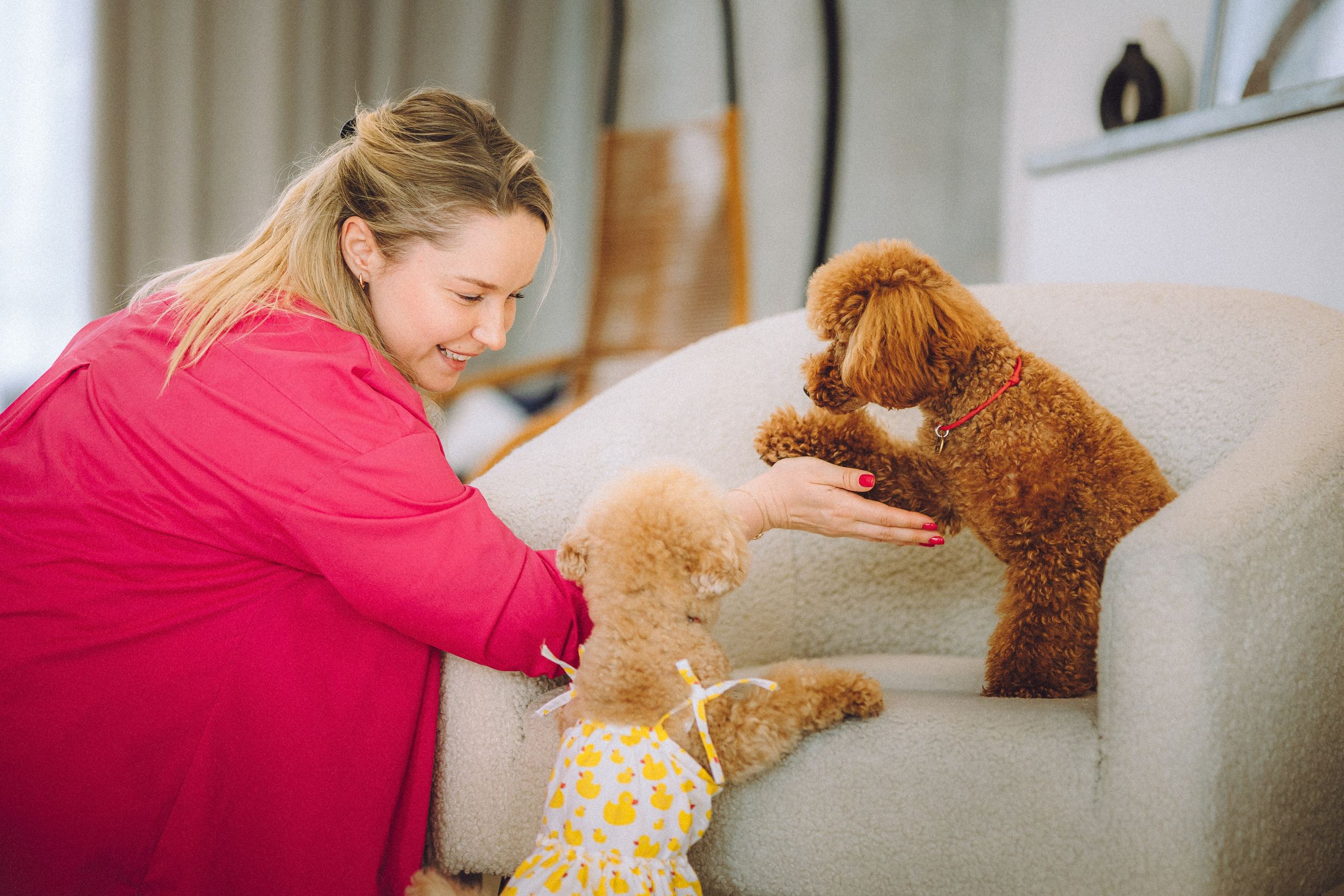 День Рождения пуделя Глаши