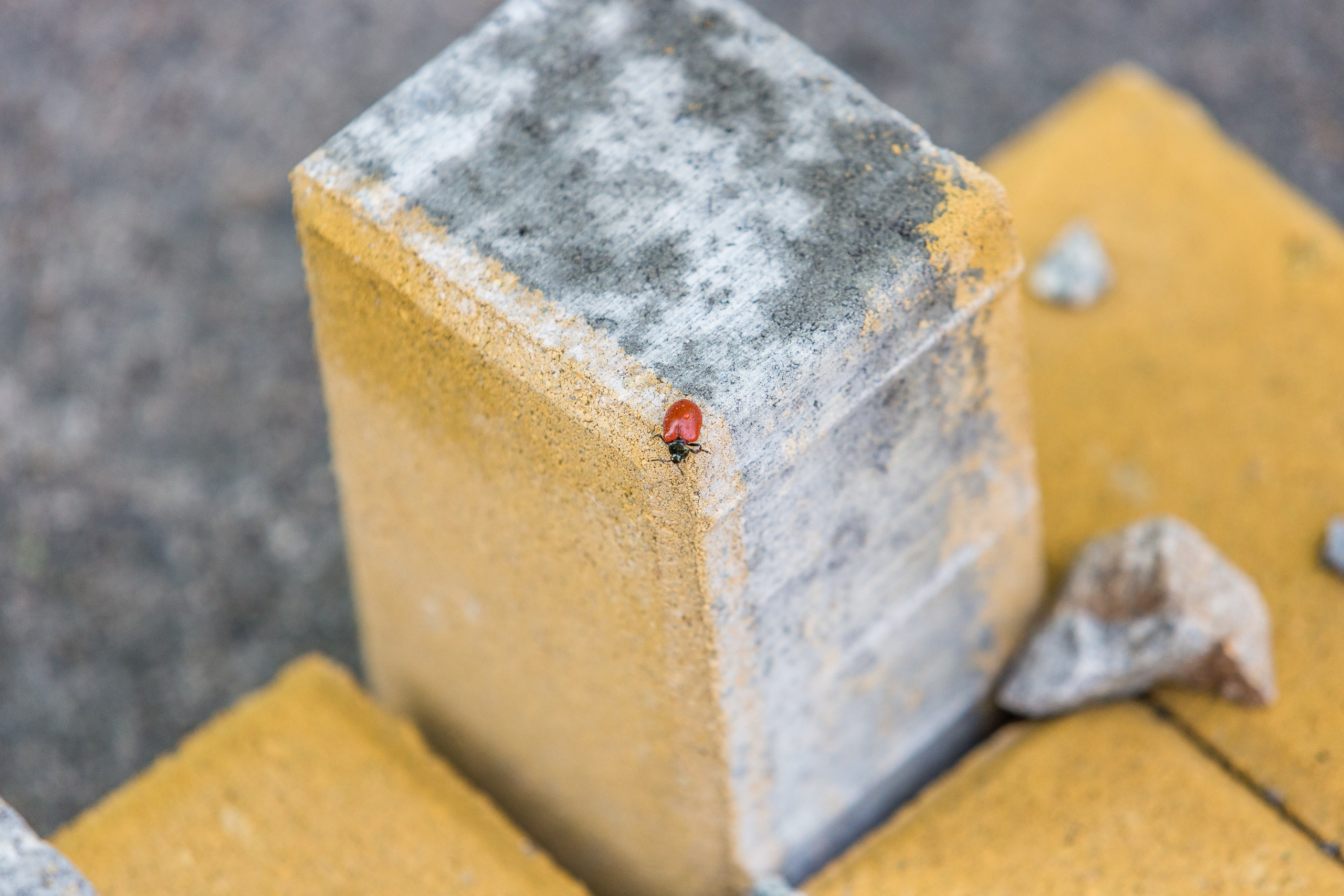 Строительство. Фотограф Алексей Зарецкий