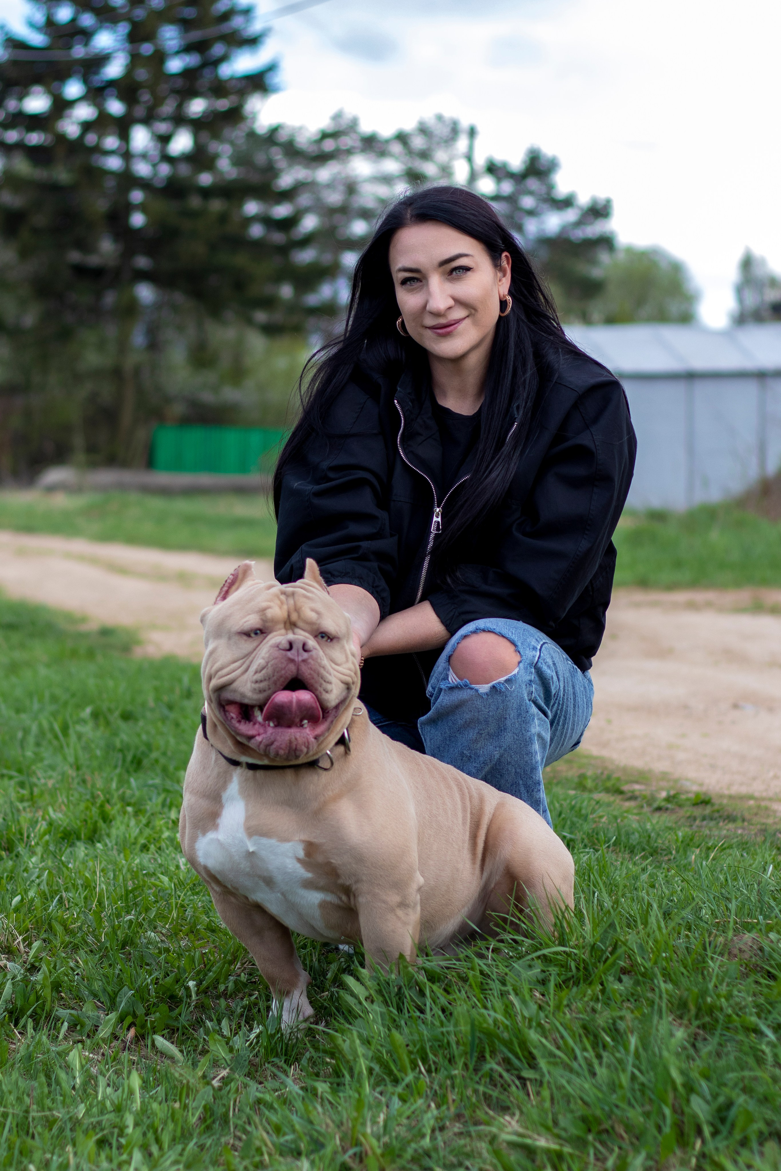 Собаки. Фотограф в Вязьме