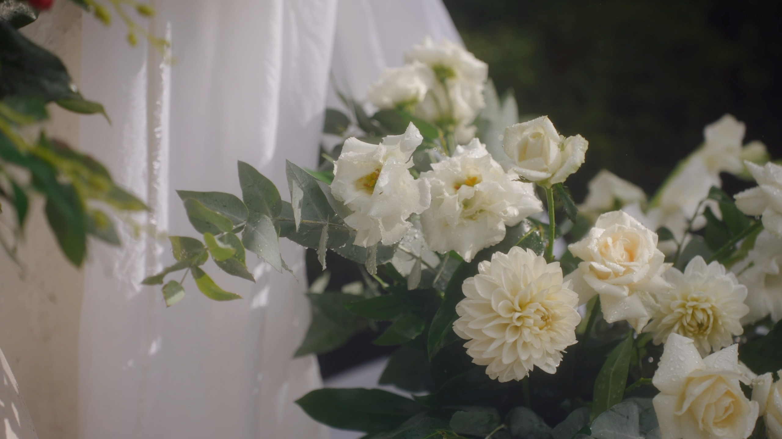 Ульяна и Олег. Агата Акварель видеограф Сочи Краснодар