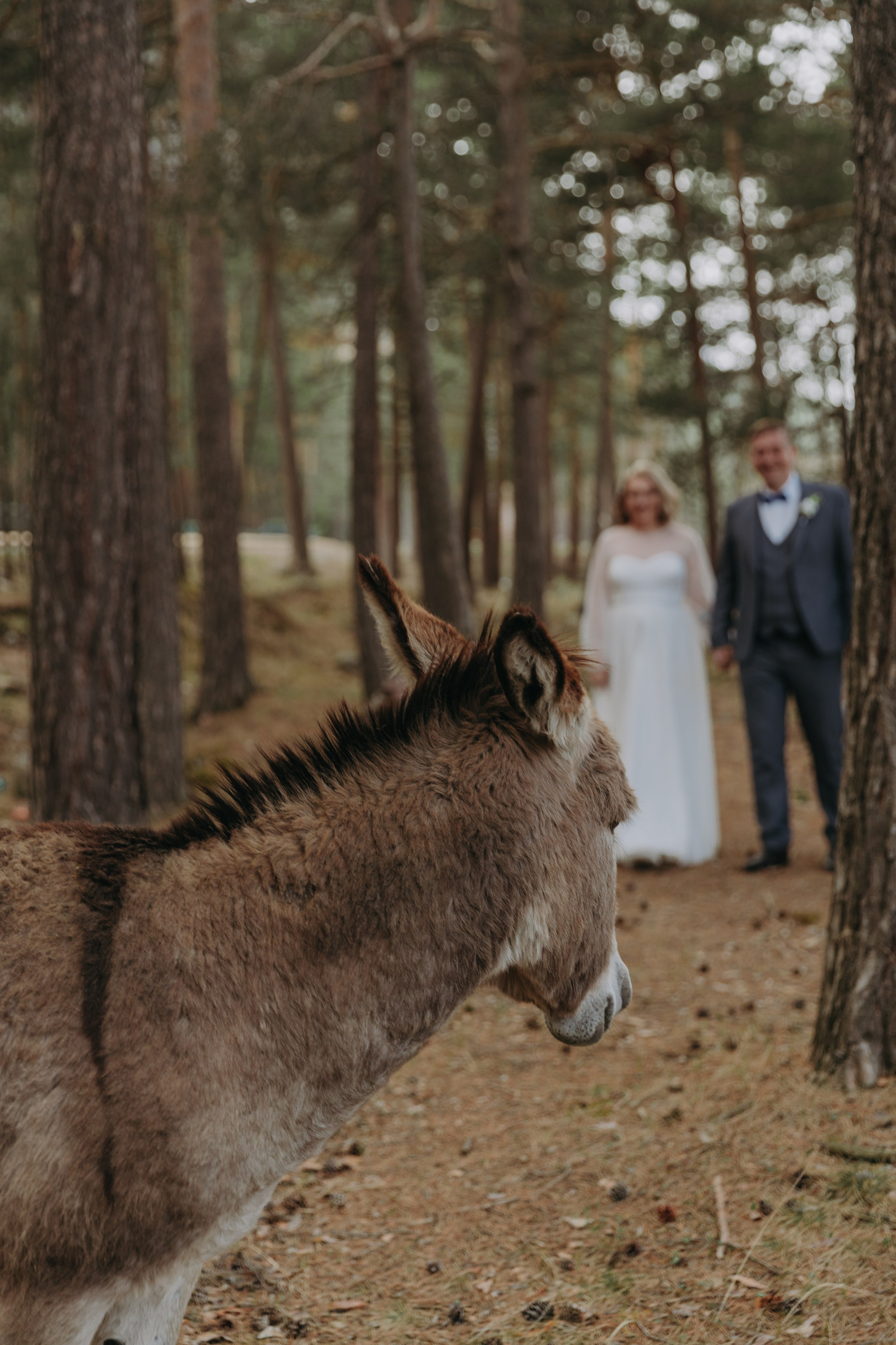 Ольга ღ Валентин. Портфолио