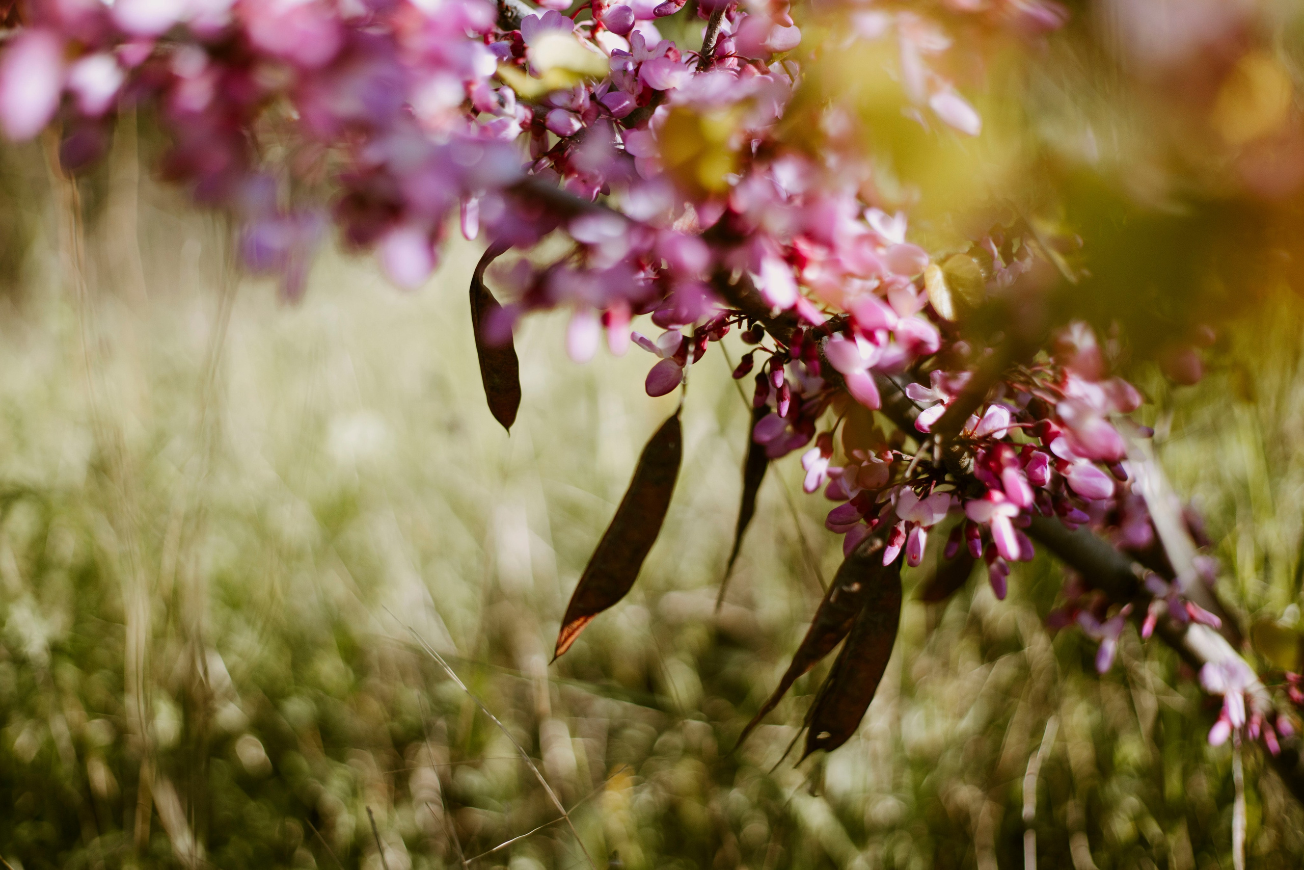 МореНебоОблака. Ваш портретный фотограф в Москве Катя Прокофьева