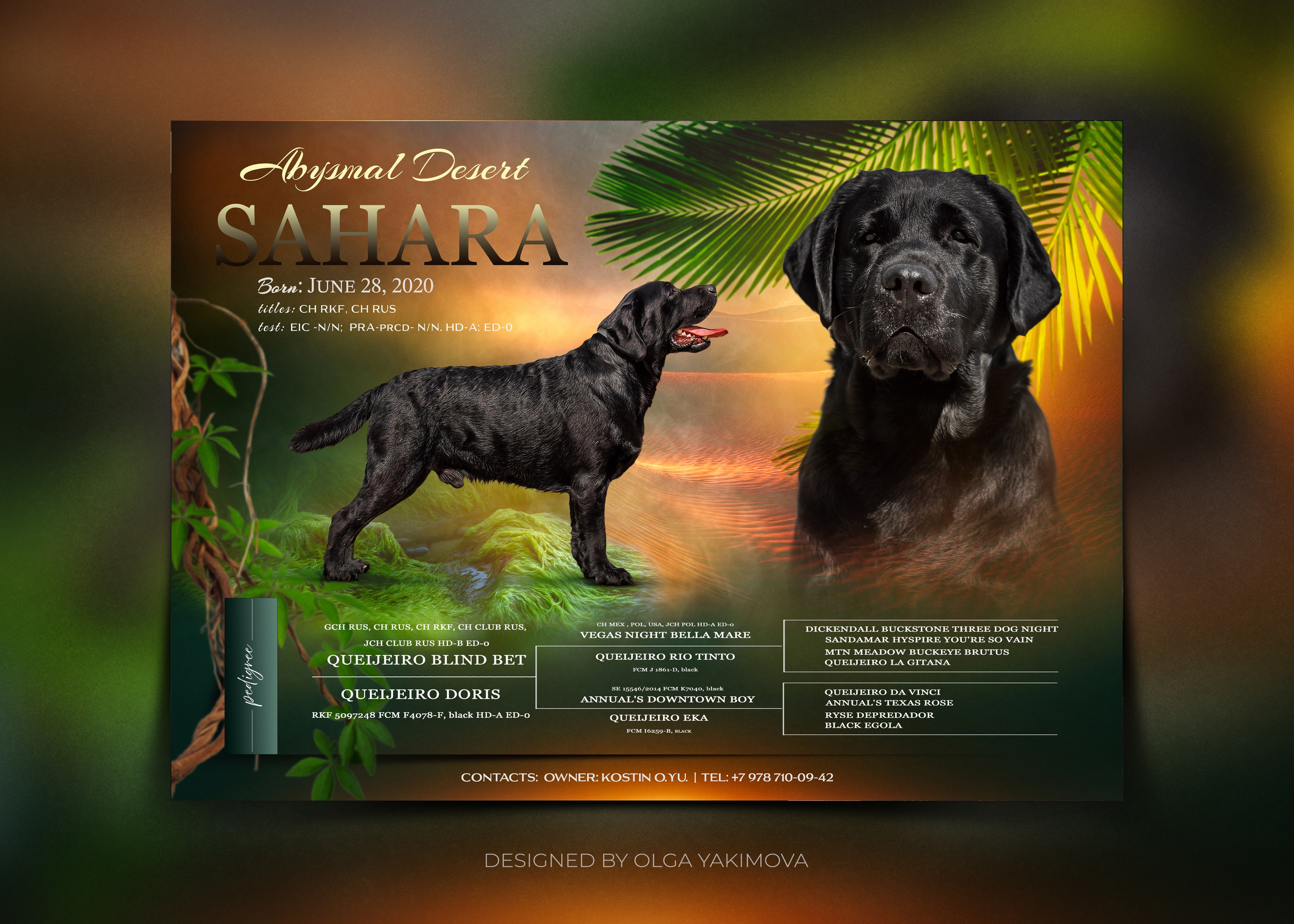 Animal presentation. Фотограф