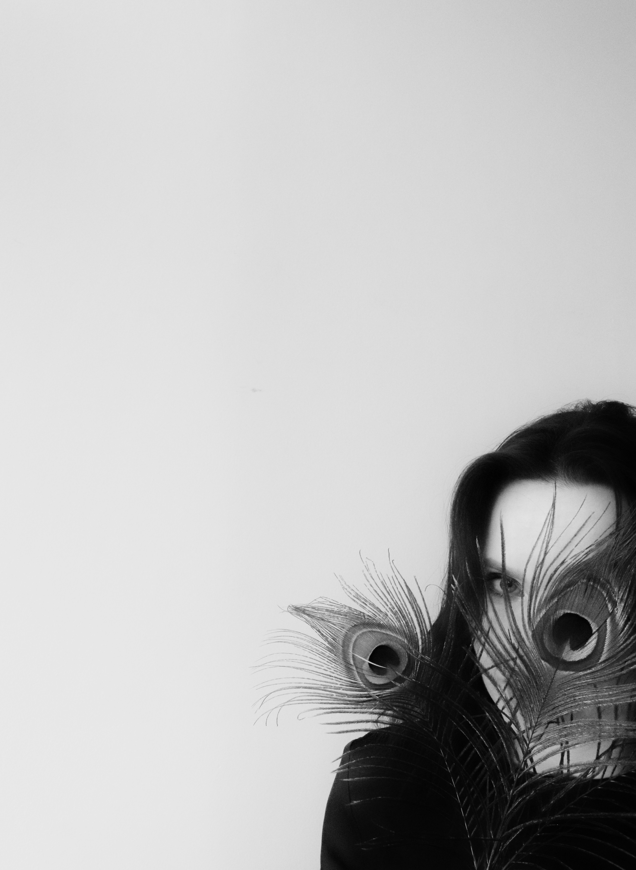 Fairy Bird. Juliarubis.com