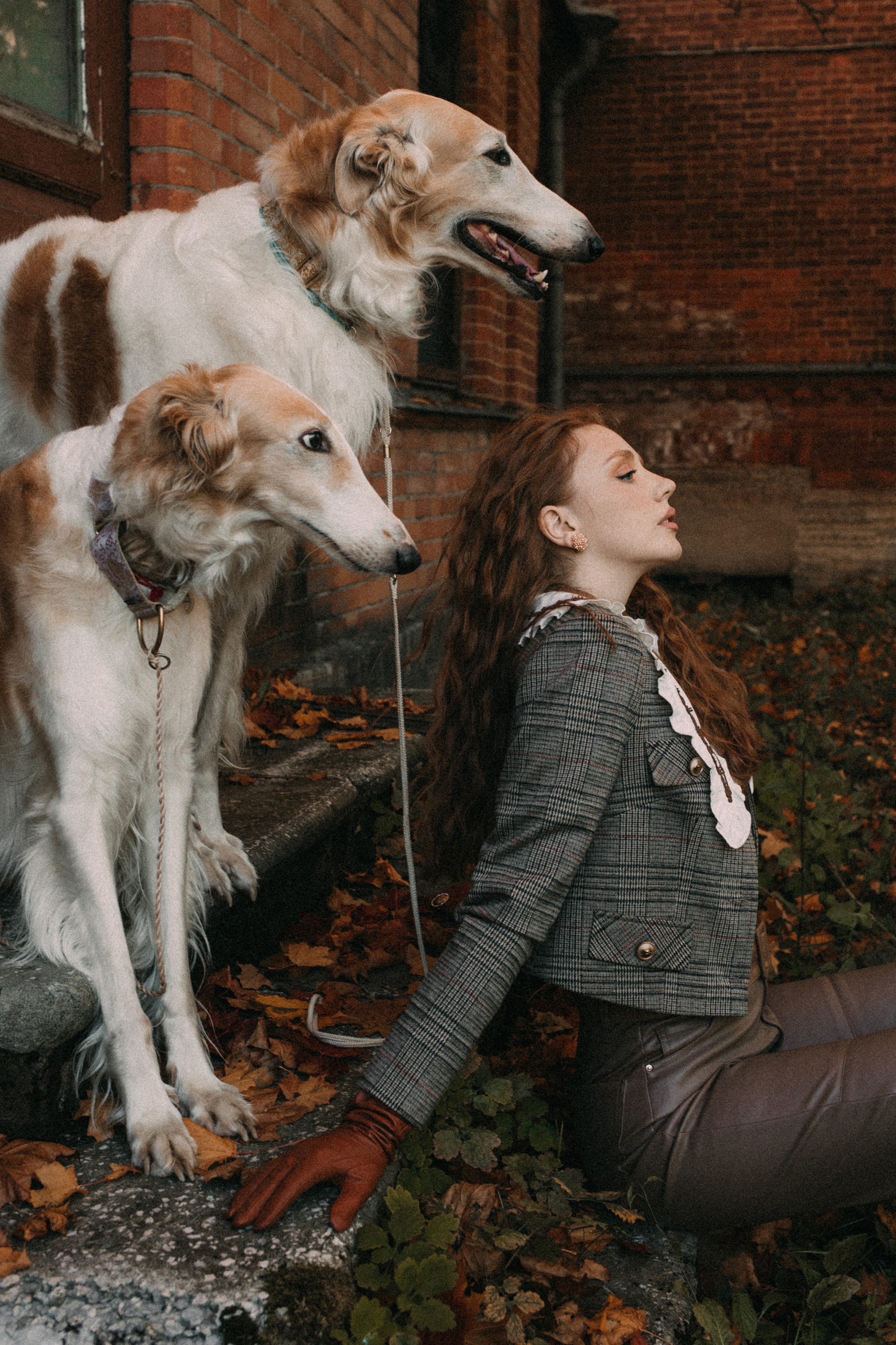 With dogs. Фотограф в Санкт-Петербурге Мария Алеканд