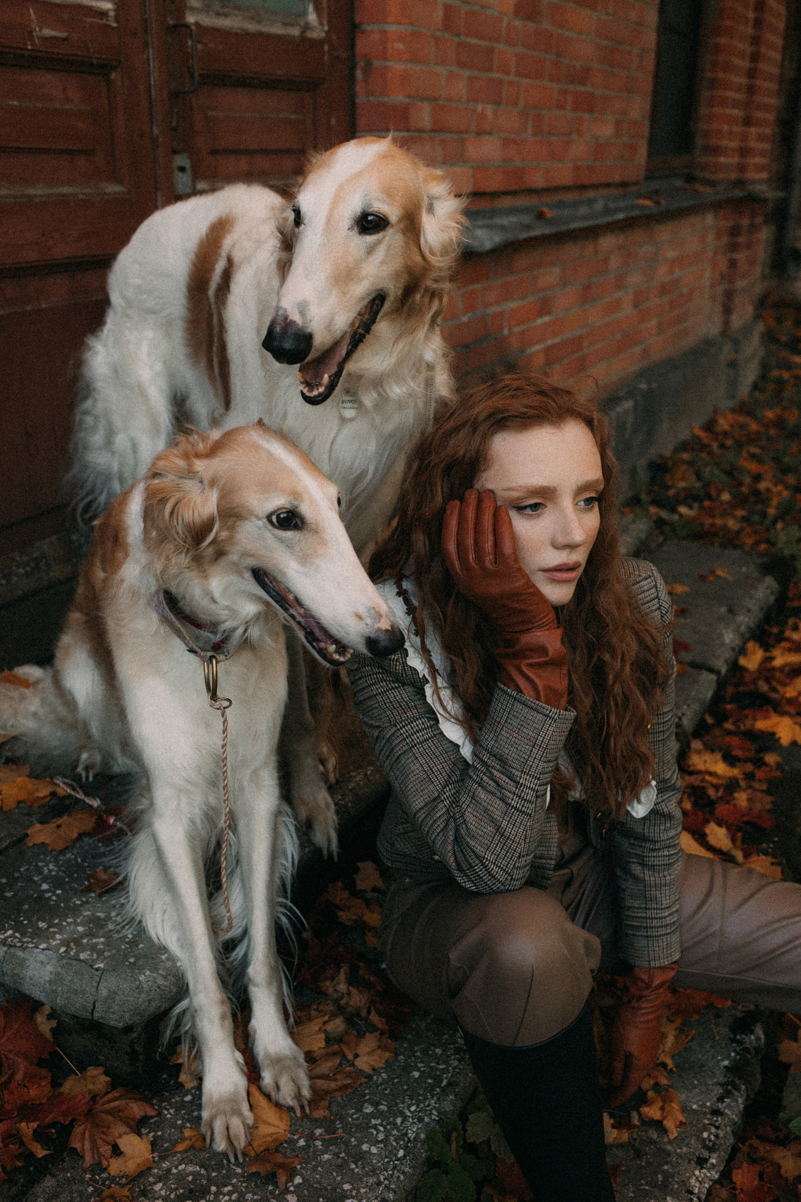 With dogs. Фотограф в Санкт-Петербурге Мария Алеканд