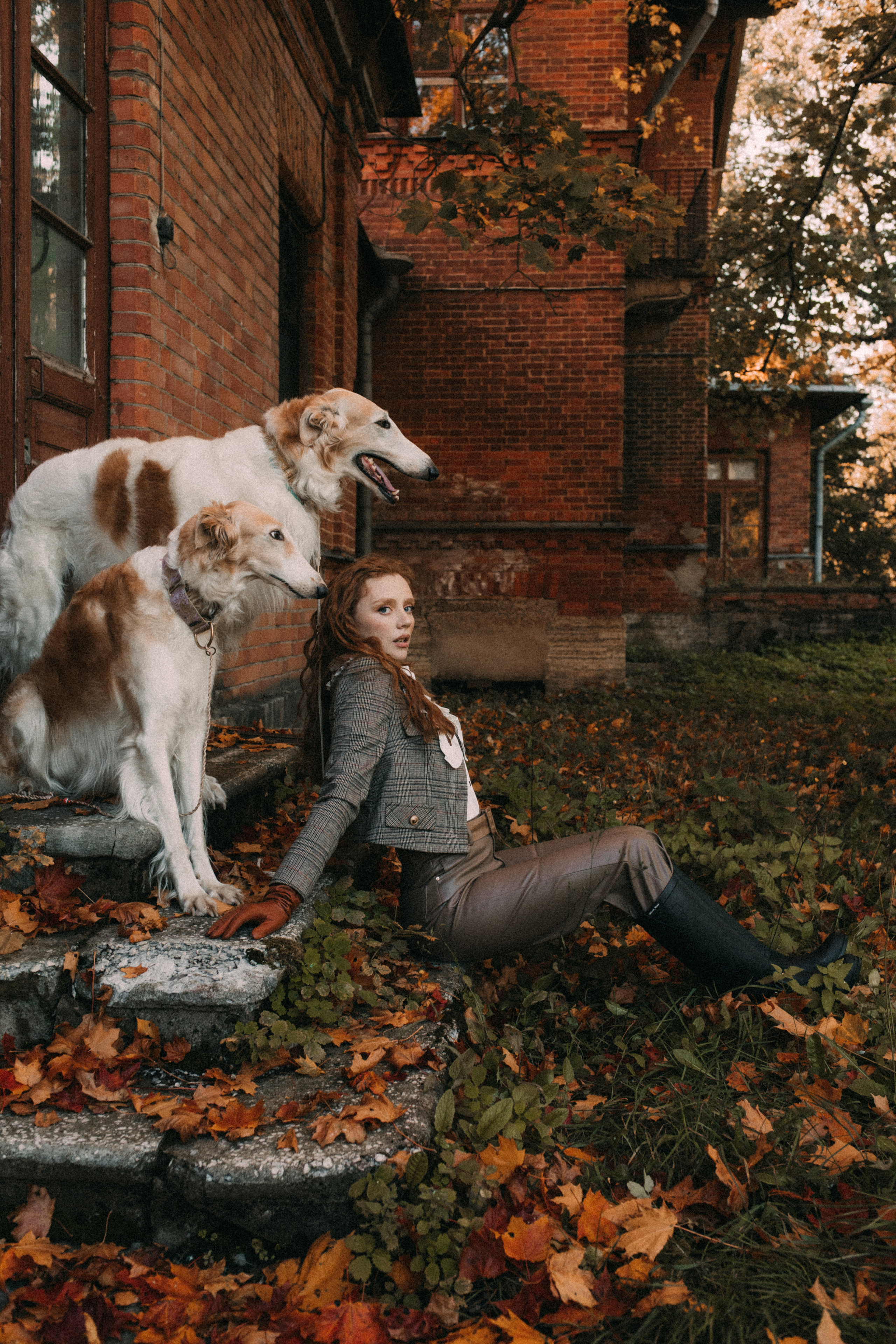 With dogs. Фотограф в Санкт-Петербурге Мария Алеканд