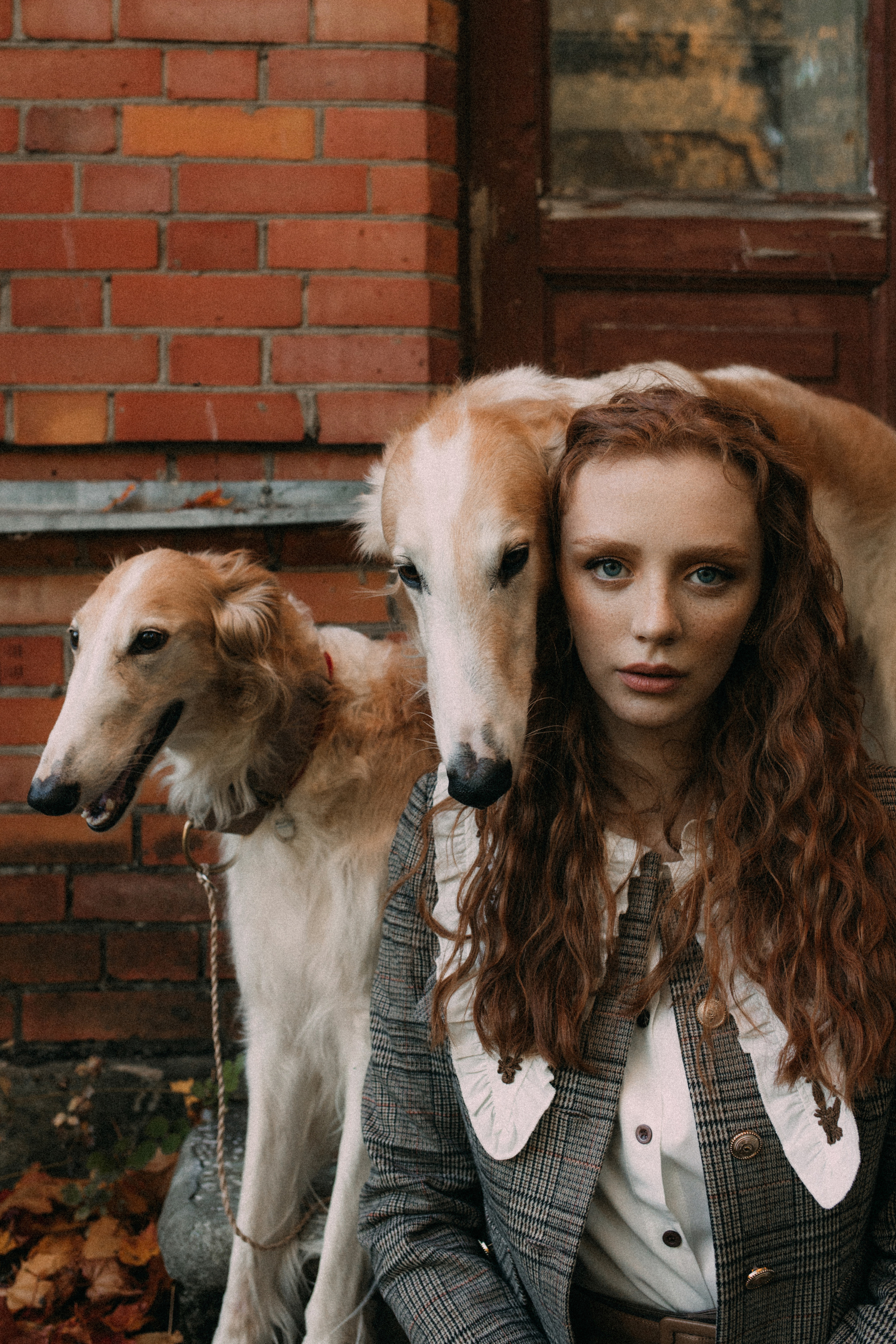 With dogs. Фотограф в Санкт-Петербурге Мария Алеканд
