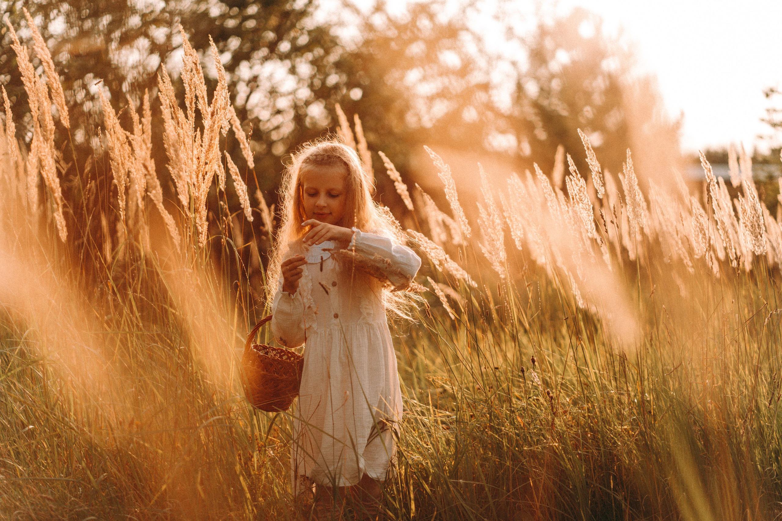 Летнее золото в волосах. Главная