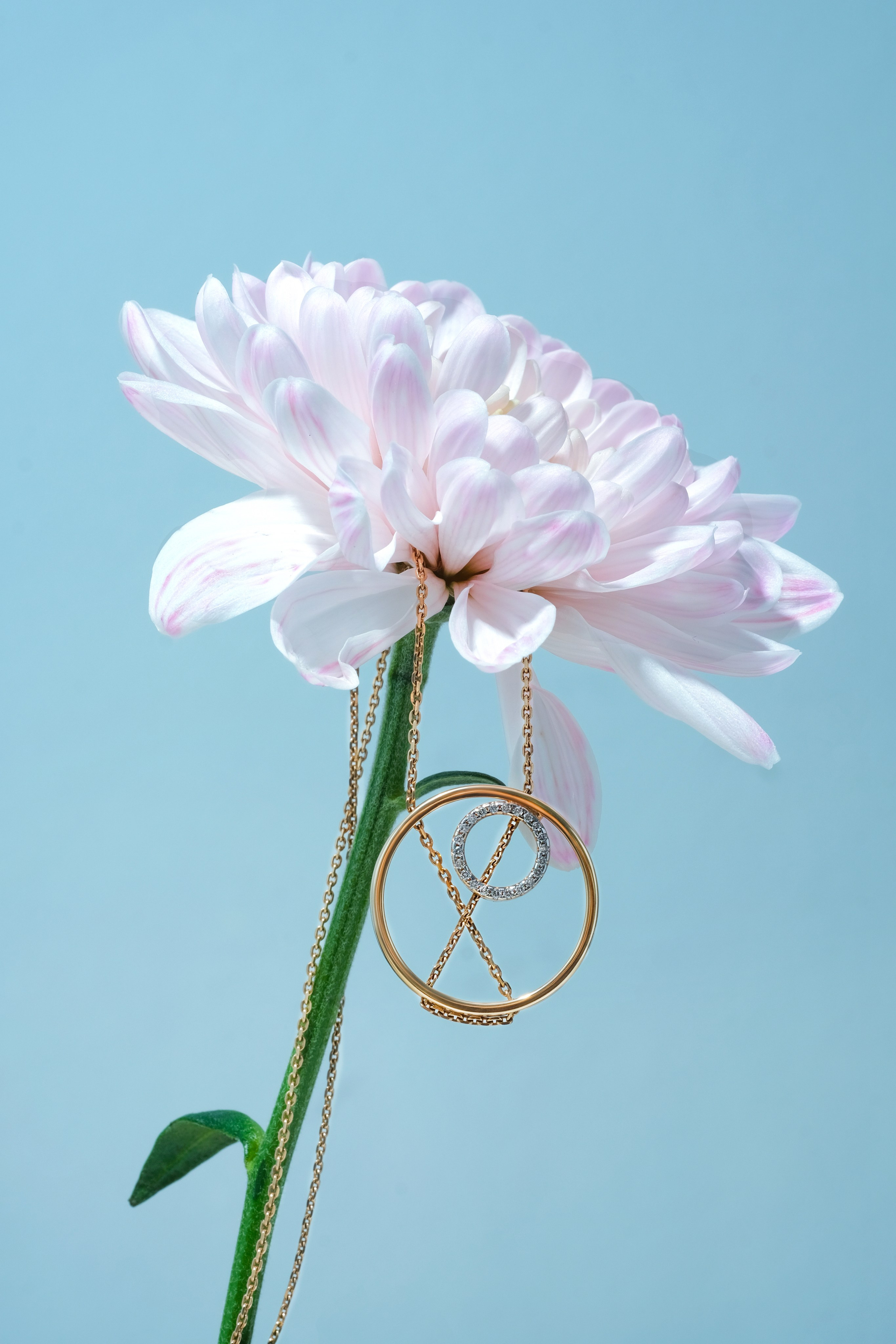 Ювелирный фотогрф. Контент Предметный фотограф Саратов, контент для бизнеса, съемка для брендов, предметные фотосъёмки в Саратове. Елена