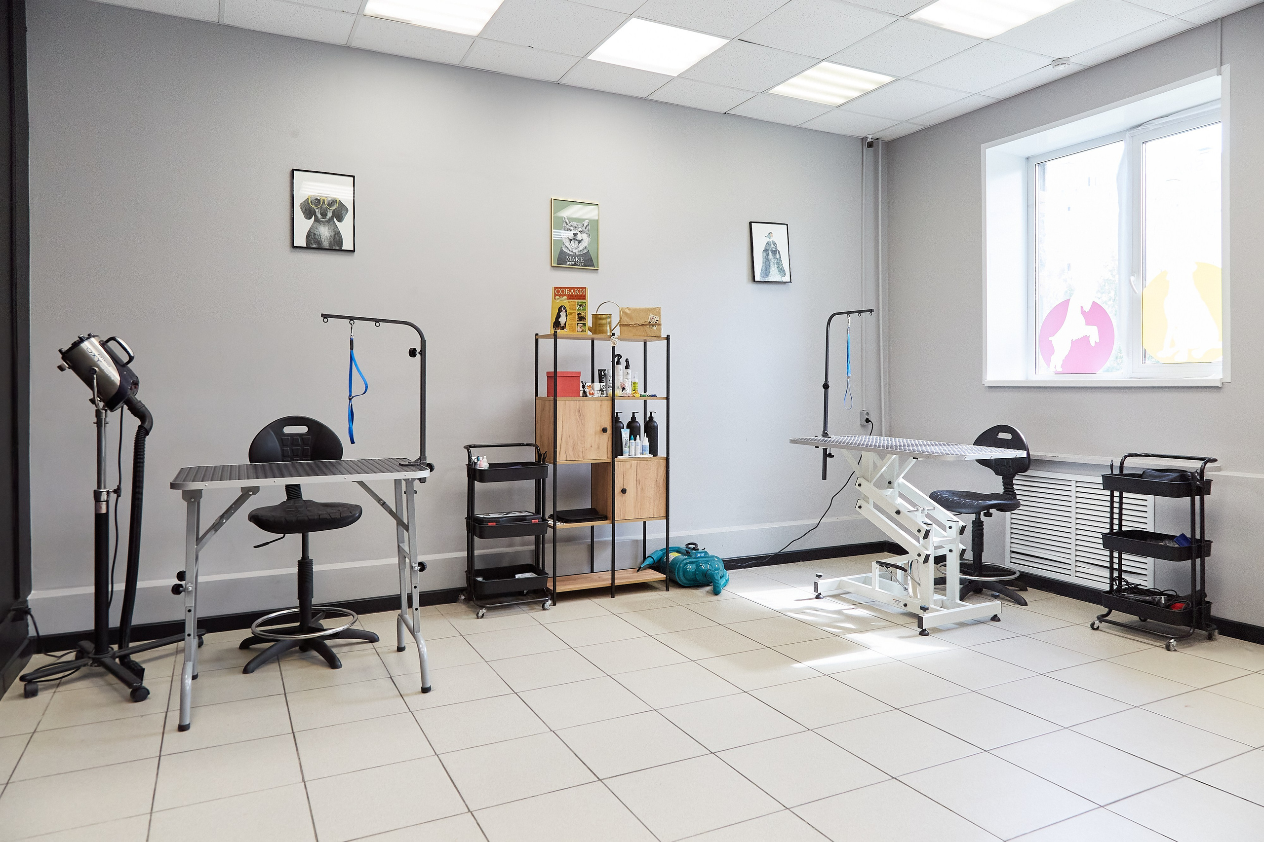 Зоопарикмахерская Avrora Groom. Фотограф Анастасия Леонтьева Санкт-Петербург