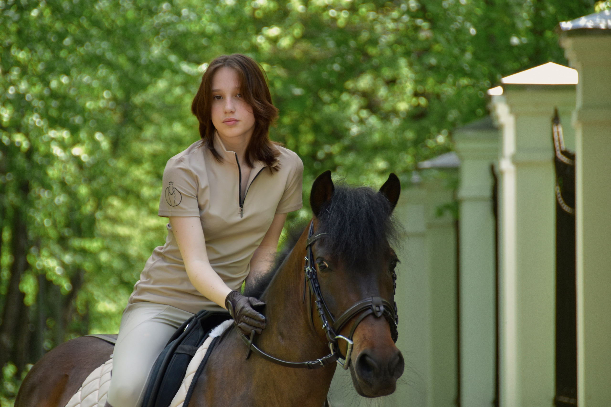 Александра и Капрал (клеппер). Конный фотограф Москва