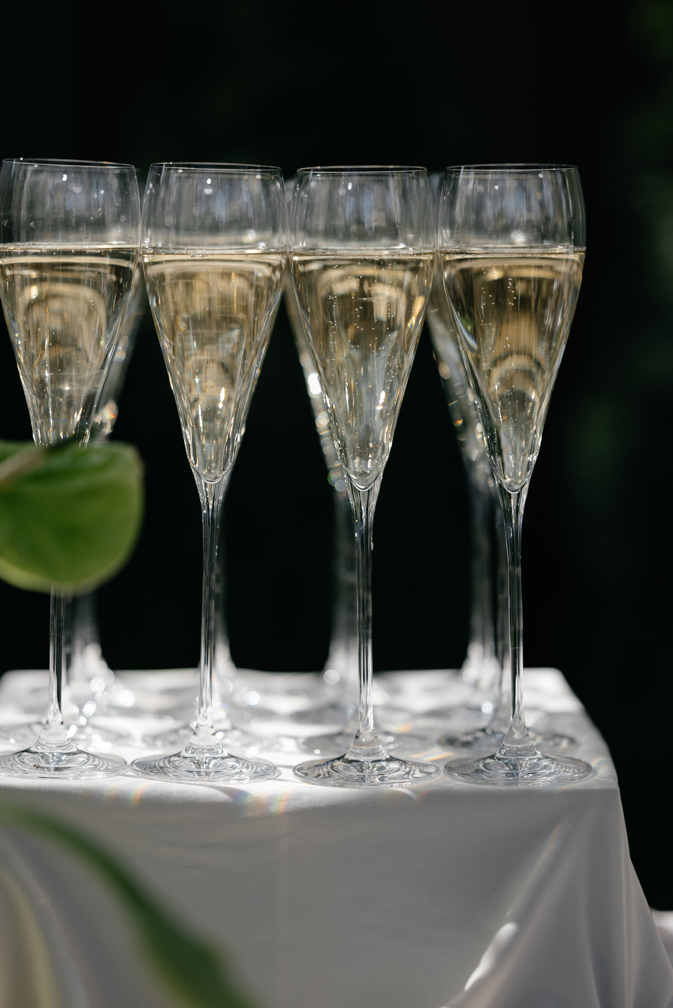 Wedding day in DELICE CHALET. Wedding PHOTOGRAPHER Andrew Vnukov