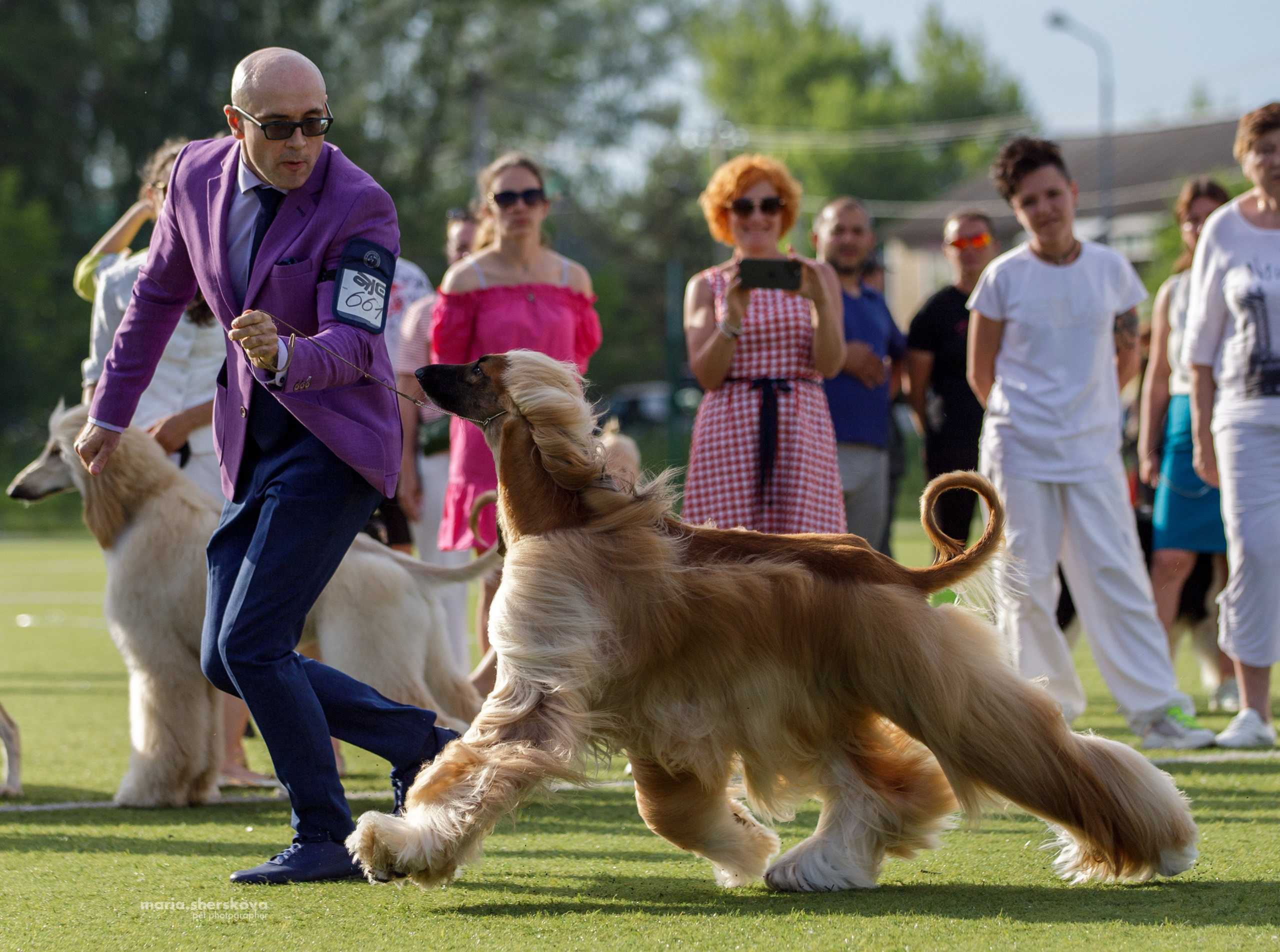 Выставки. Фотограф-анималист в Калуге Мария Шерскова