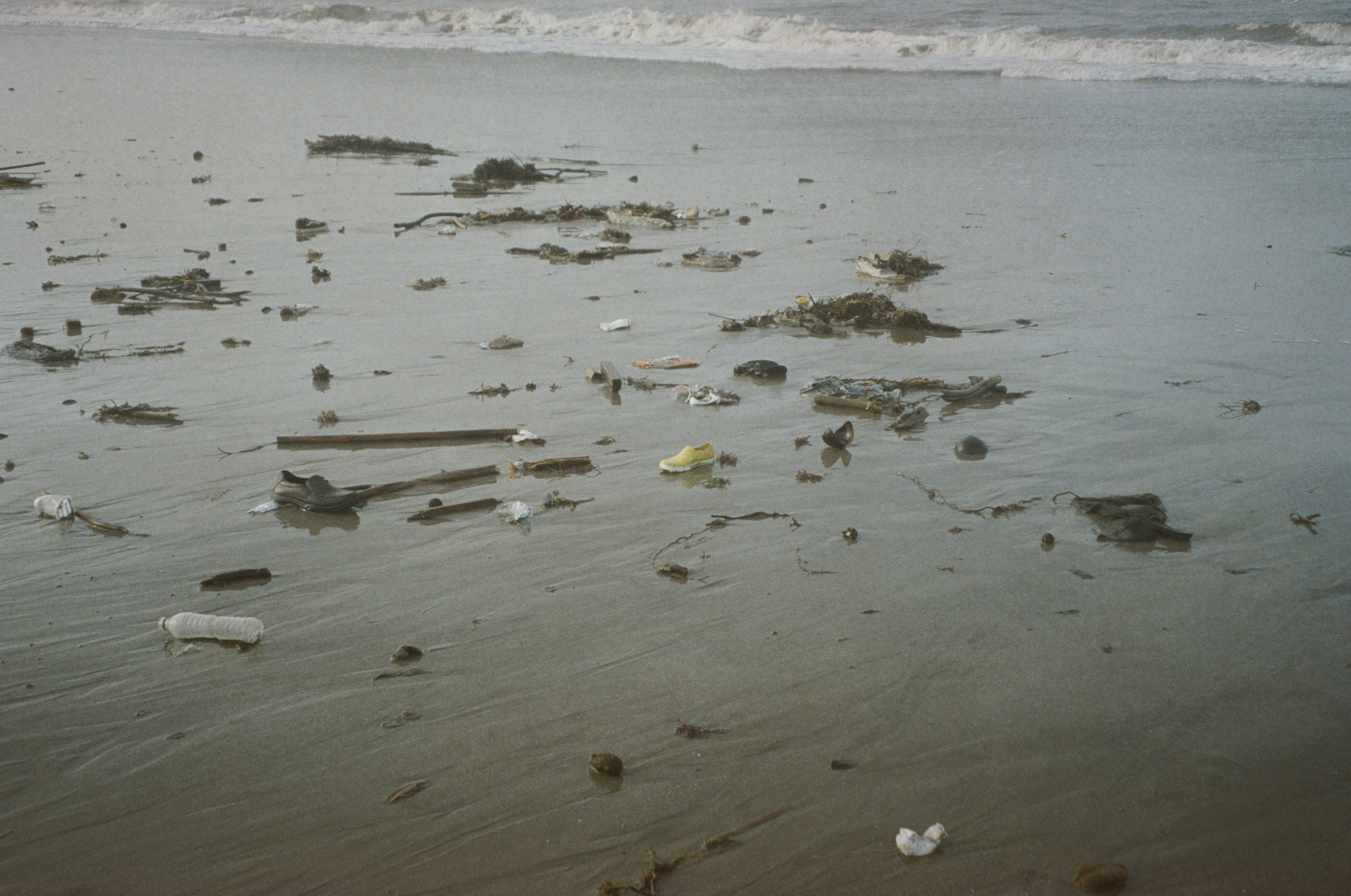 NYEPI DAY. Carolinetru