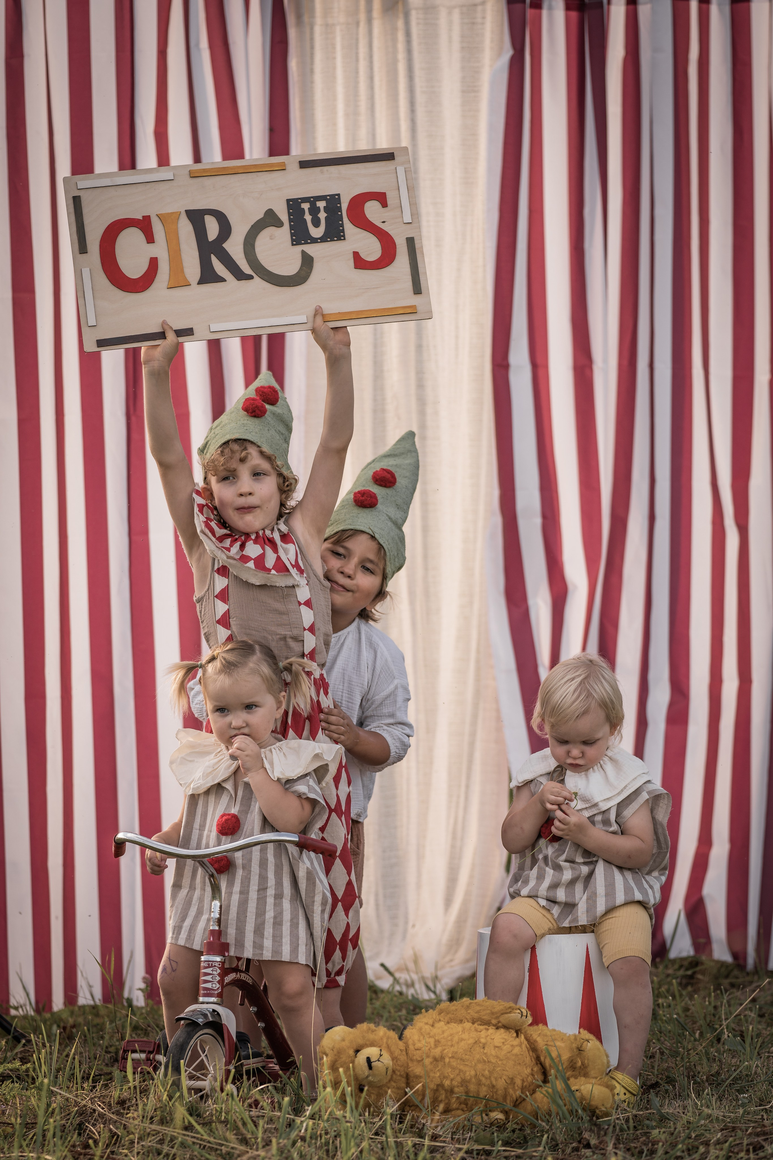 Цирк. Семейный фотограф Ефремова Виктория