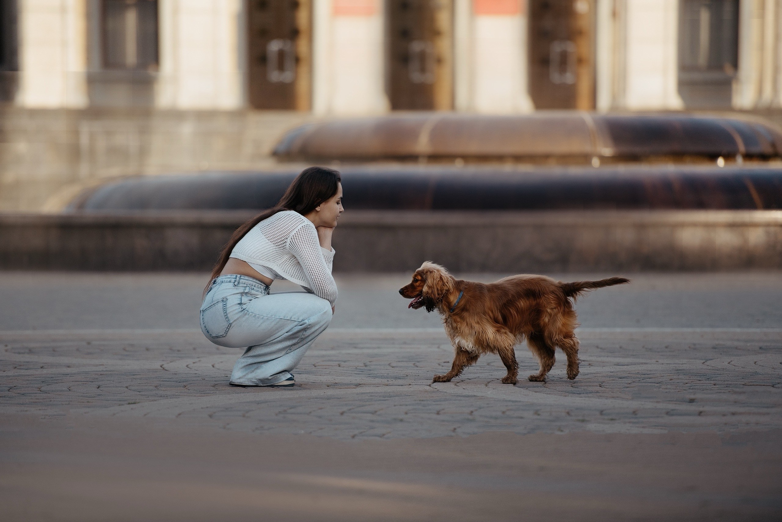 Love story: человек + собака. Фотограф-анималист Мария Орсеева, Краснодар