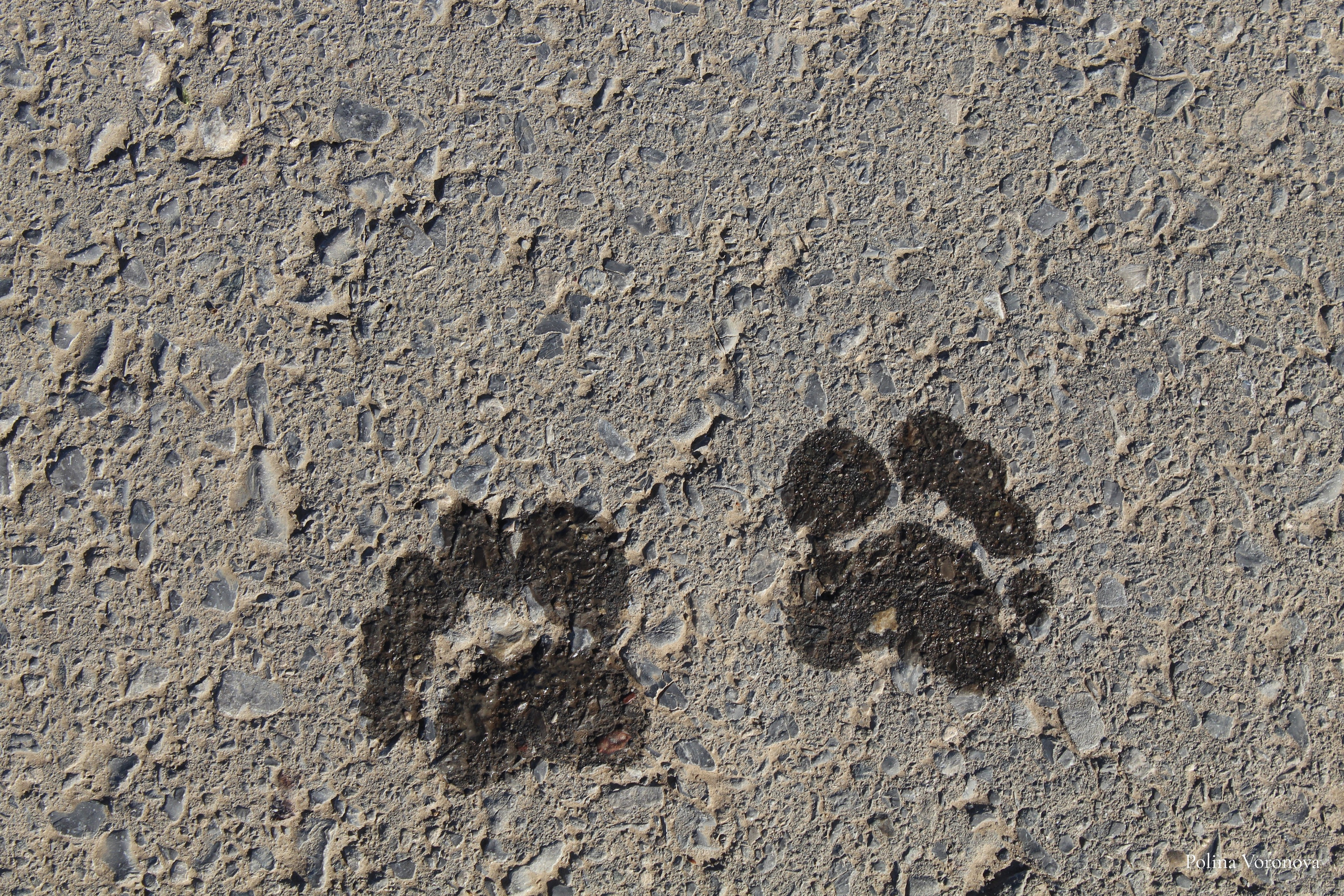 Соляной трип: Баскунчак и Эльтон. Хорошая экспедиция