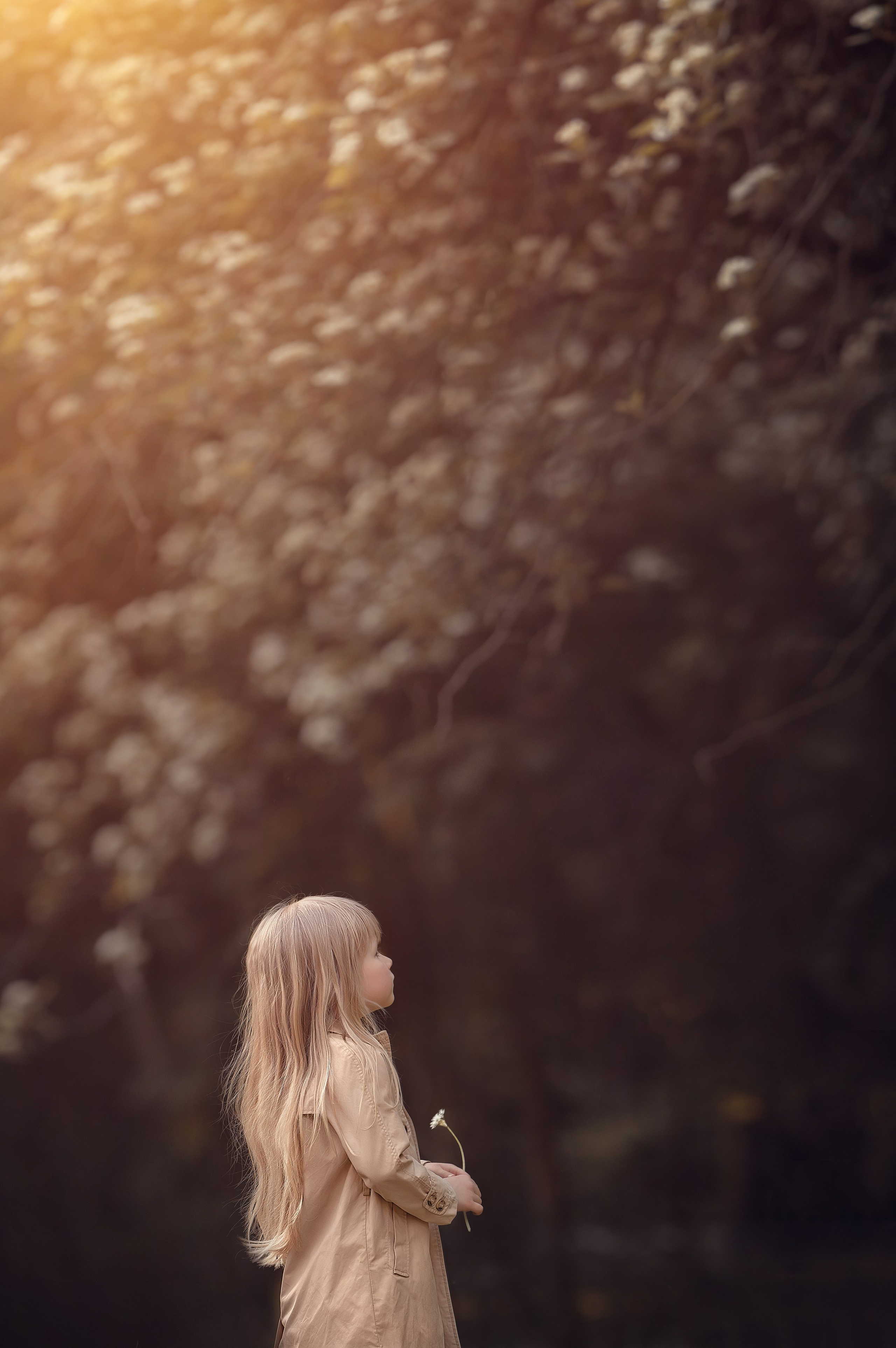 Портфолио. Семейный и детский фотограф в Москве Елизавета Царькова