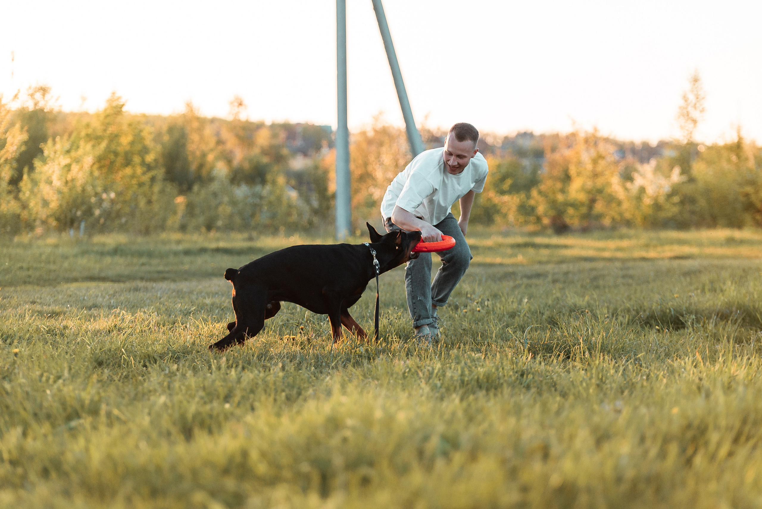 Юля, Андрей и Арес. Фотограф-анималист Анастасия Парфенова|Екатеринбург