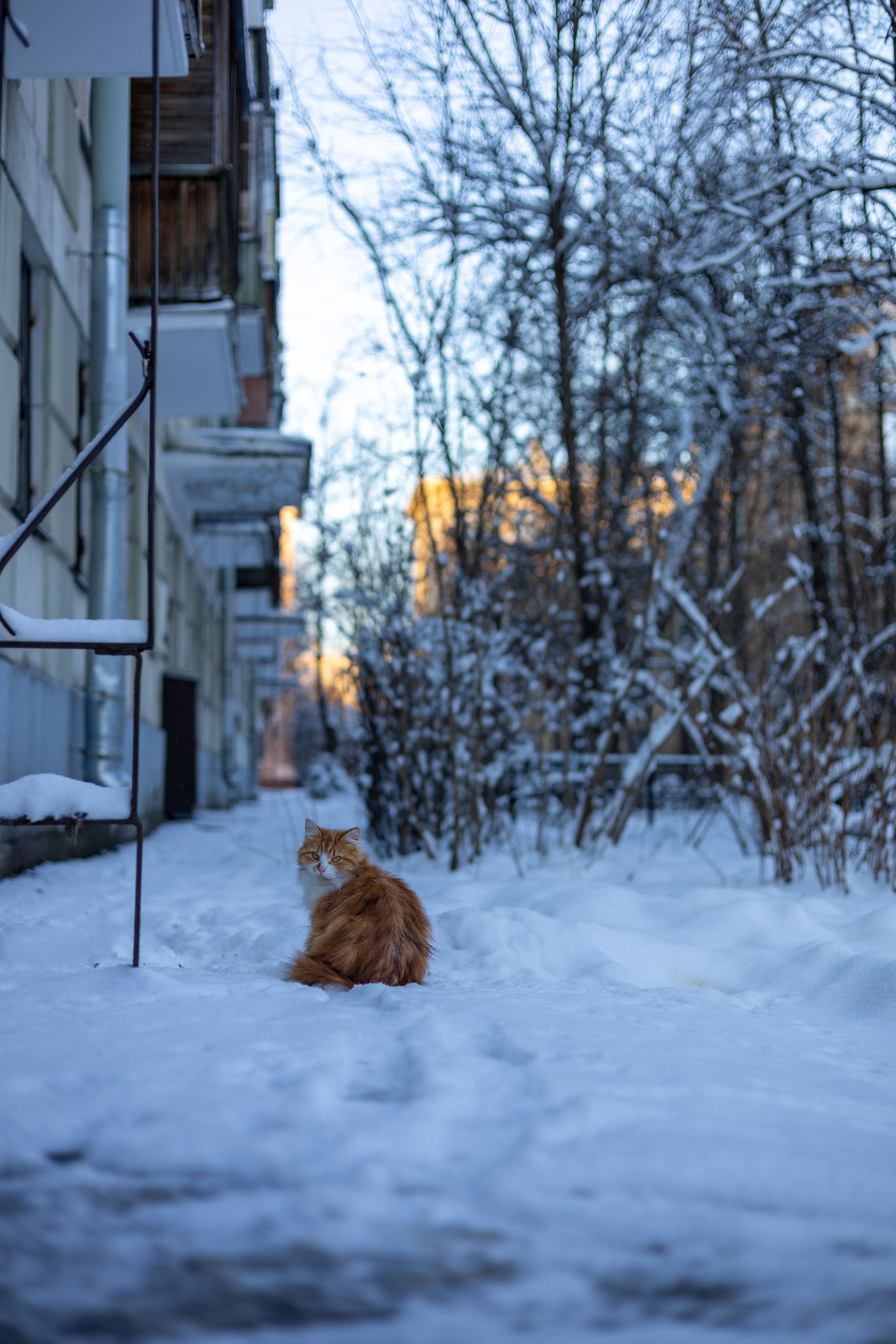 Авторская фотография и эстетика Петербурга | Роман Карбышев. Репортажный фотограф | Снимки за 3 дня | СПБ и ЛО