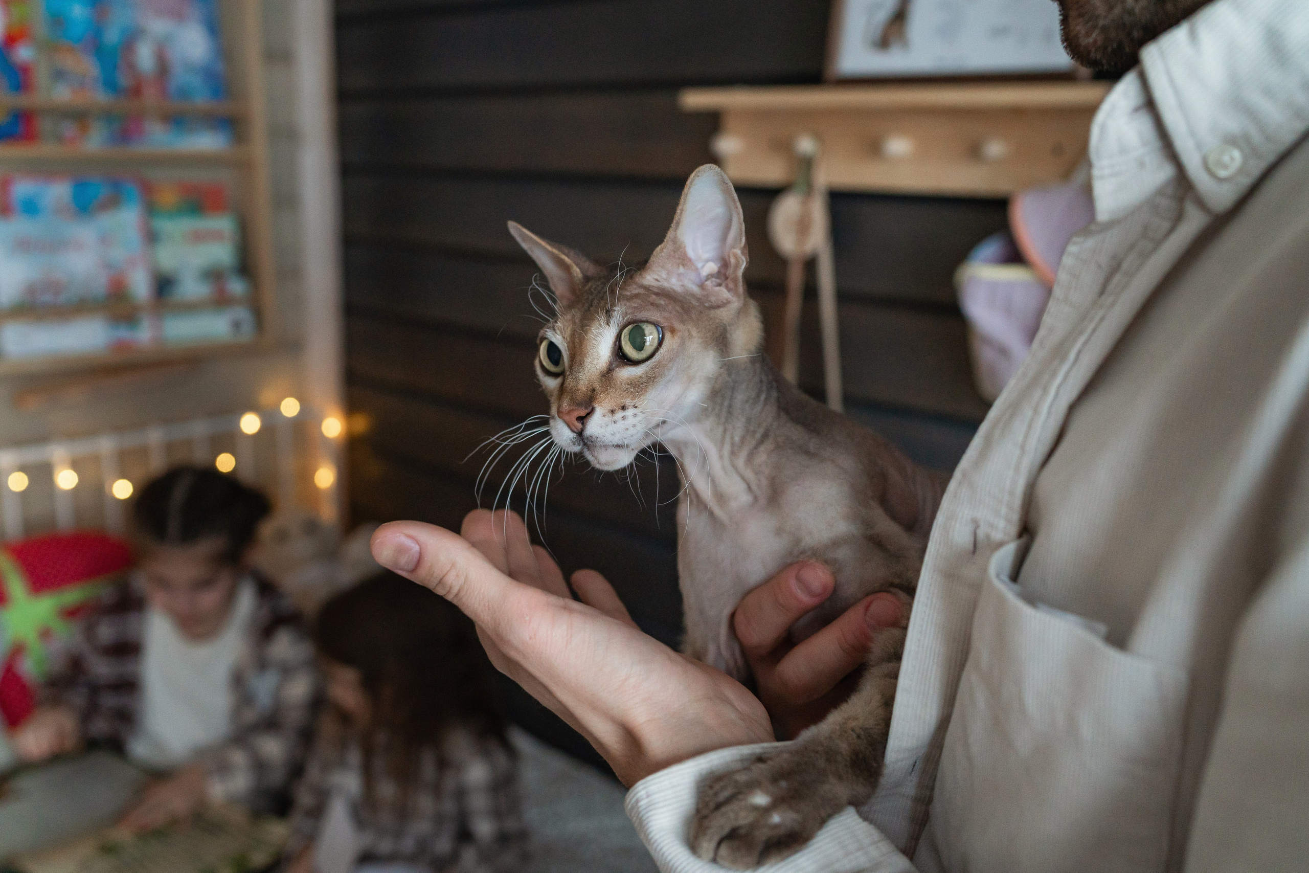 Домашние фотосессии. Фотограф Благовещенск Анна Емельянова