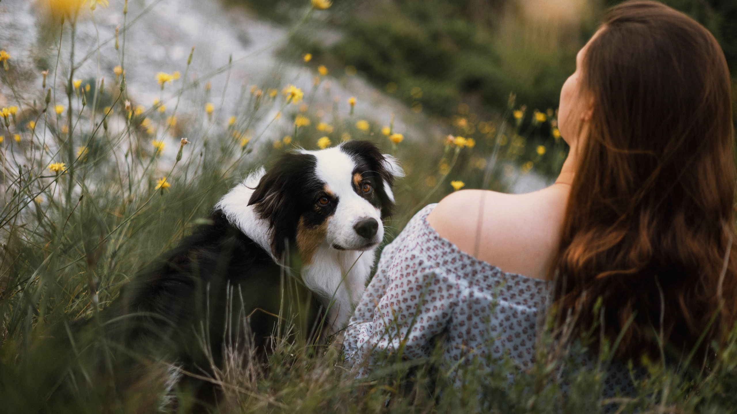 Ира и Джесс. Фотограф-анималист Богданова Полина